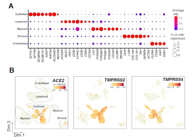 Cancers 13 01250 g001