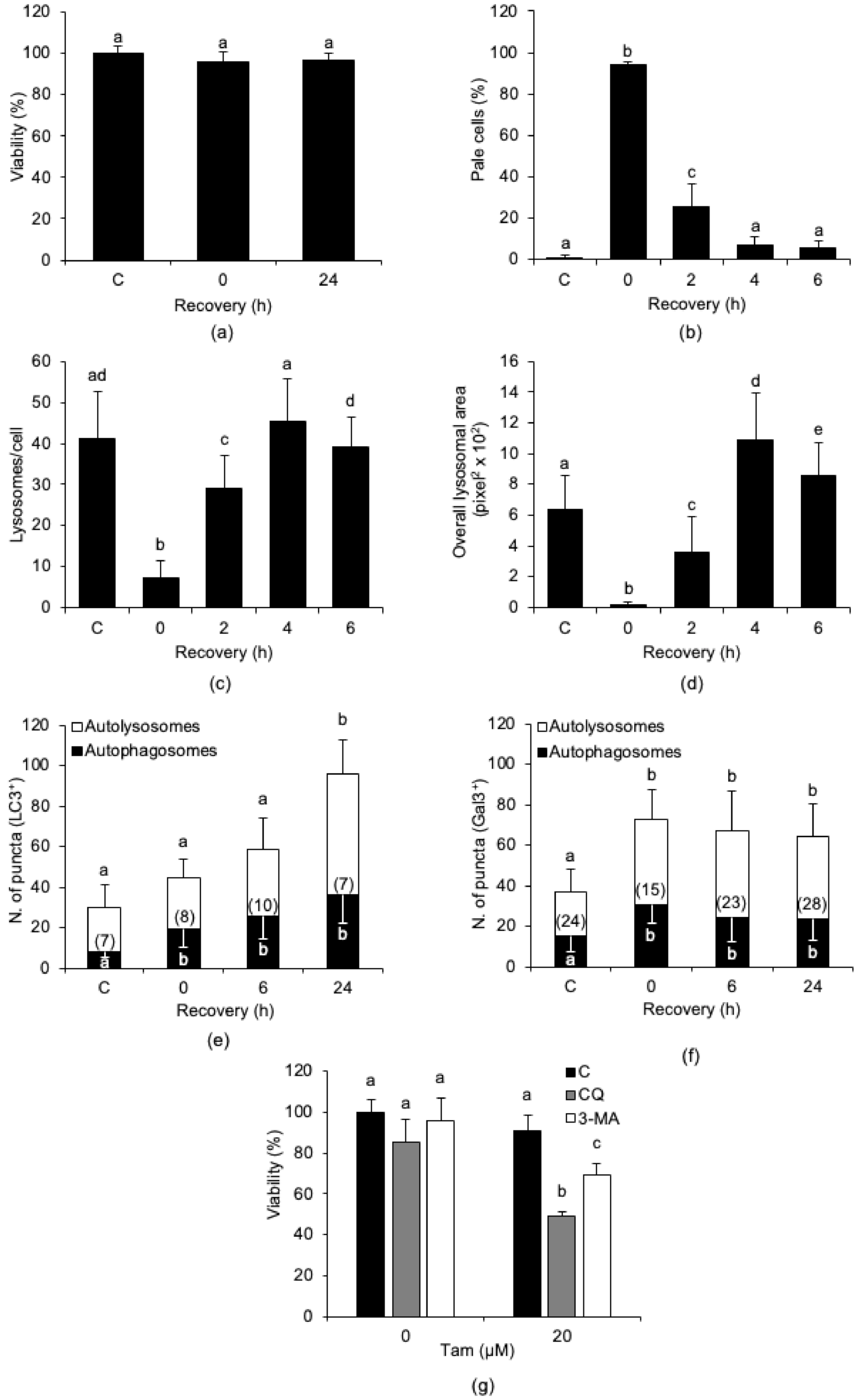 Cancers 13 01252 g004