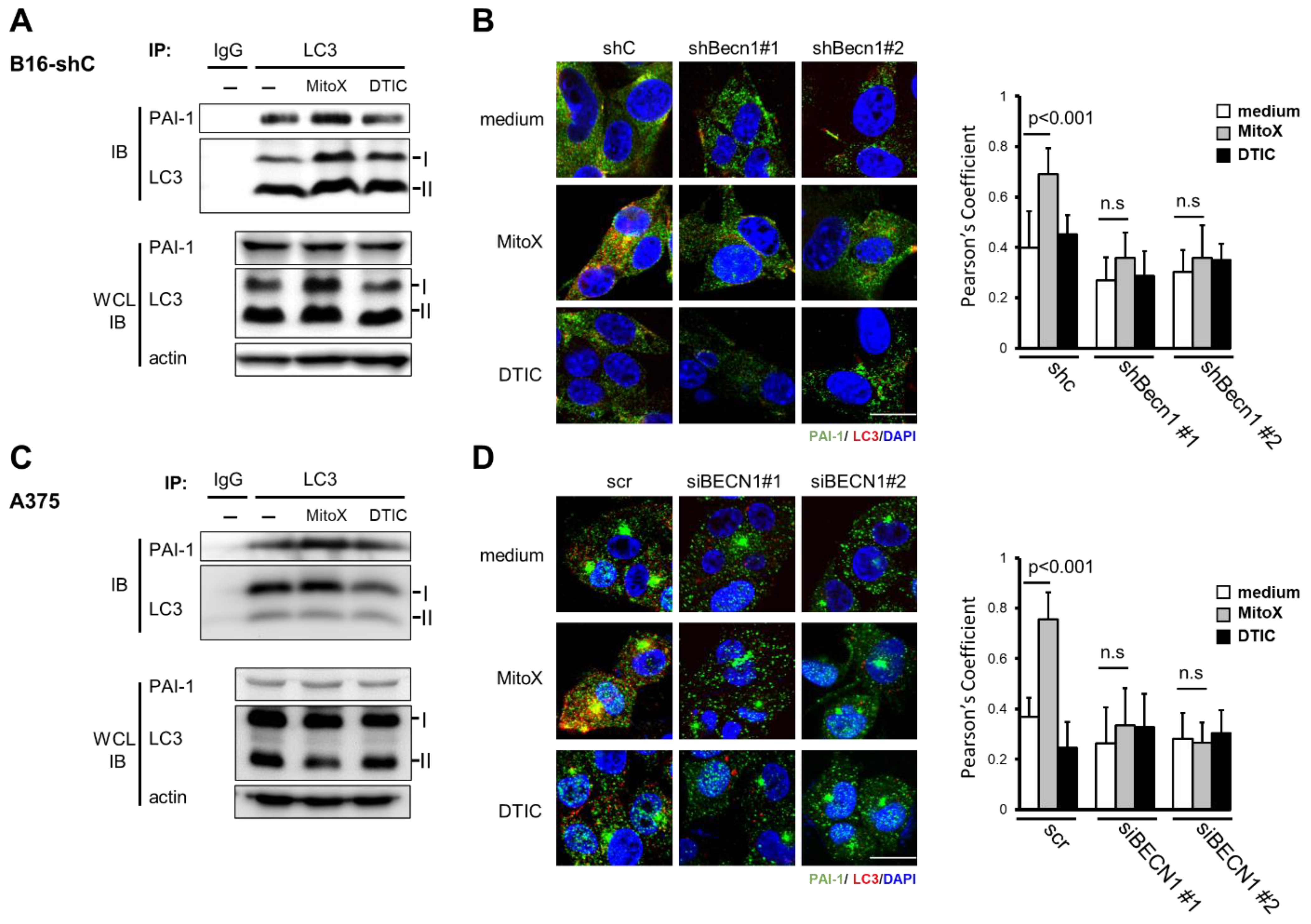 Cancers 13 01253 g003 Cancers 13 01253 g003