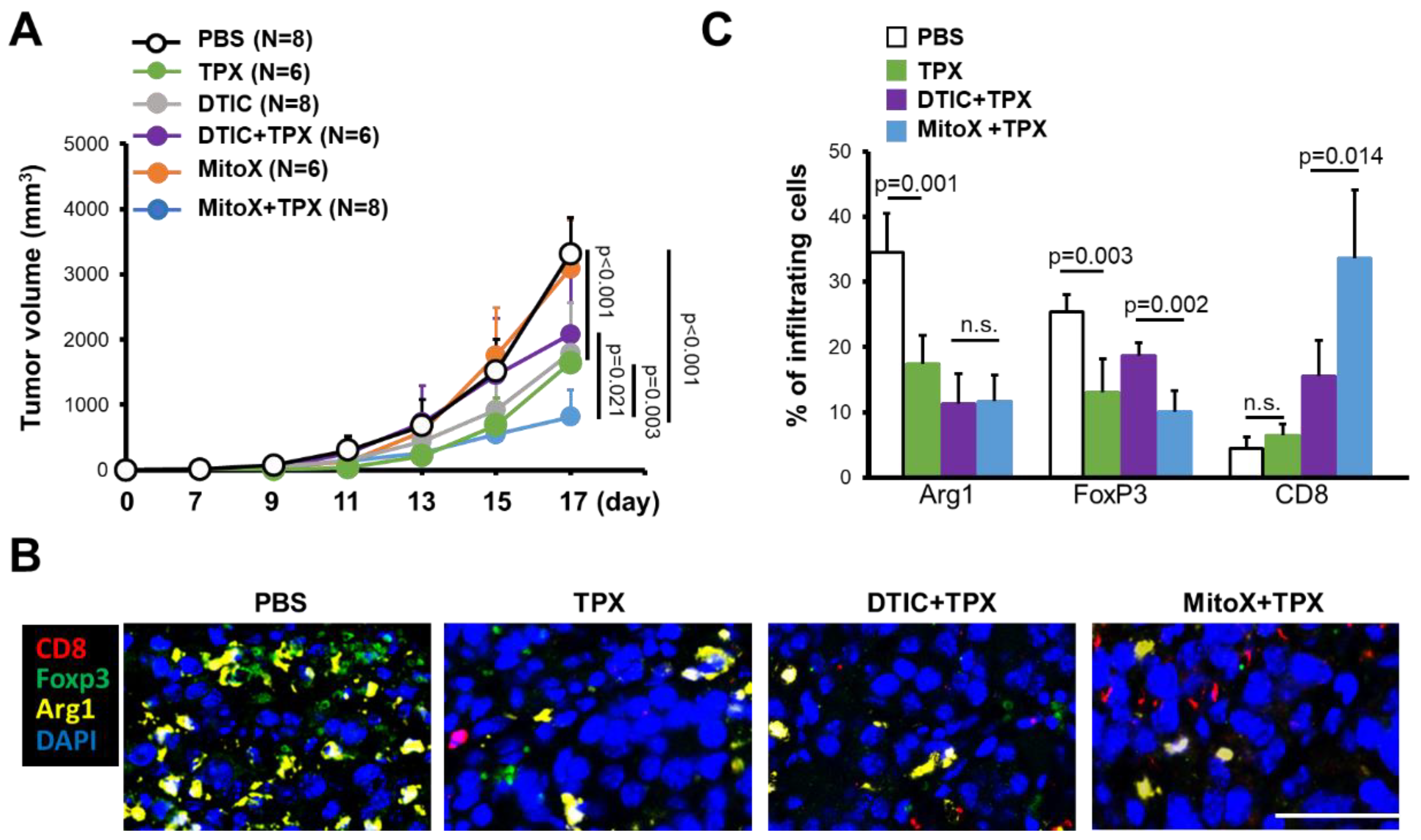 Cancers 13 01253 g005 Cancers 13 01253 g005