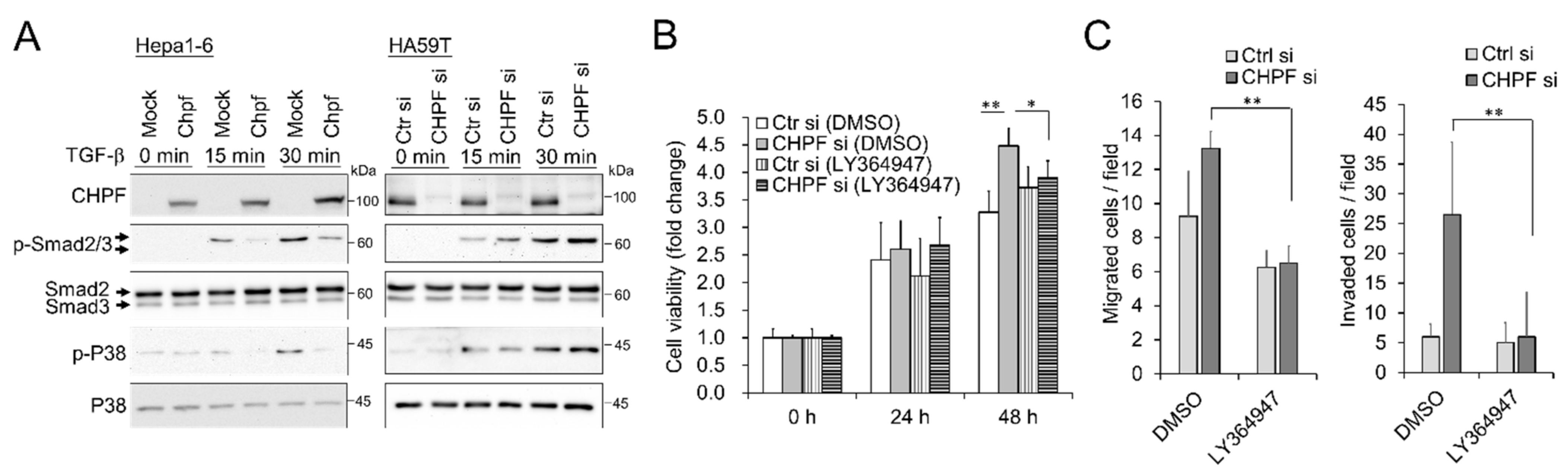 Cancers 13 01261 g005