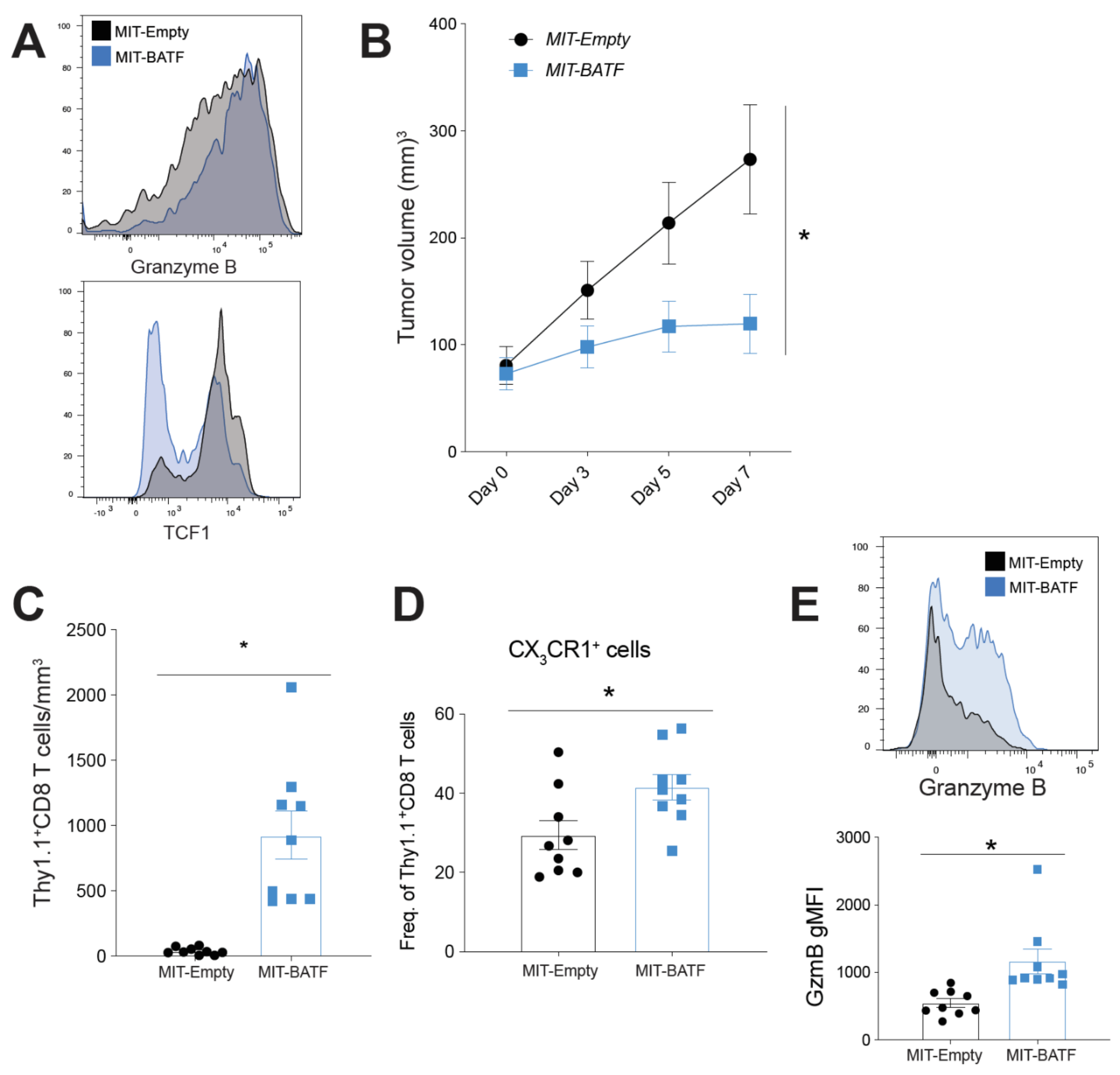 Cancers 13 01263 g003 Cancers 13 01263 g003