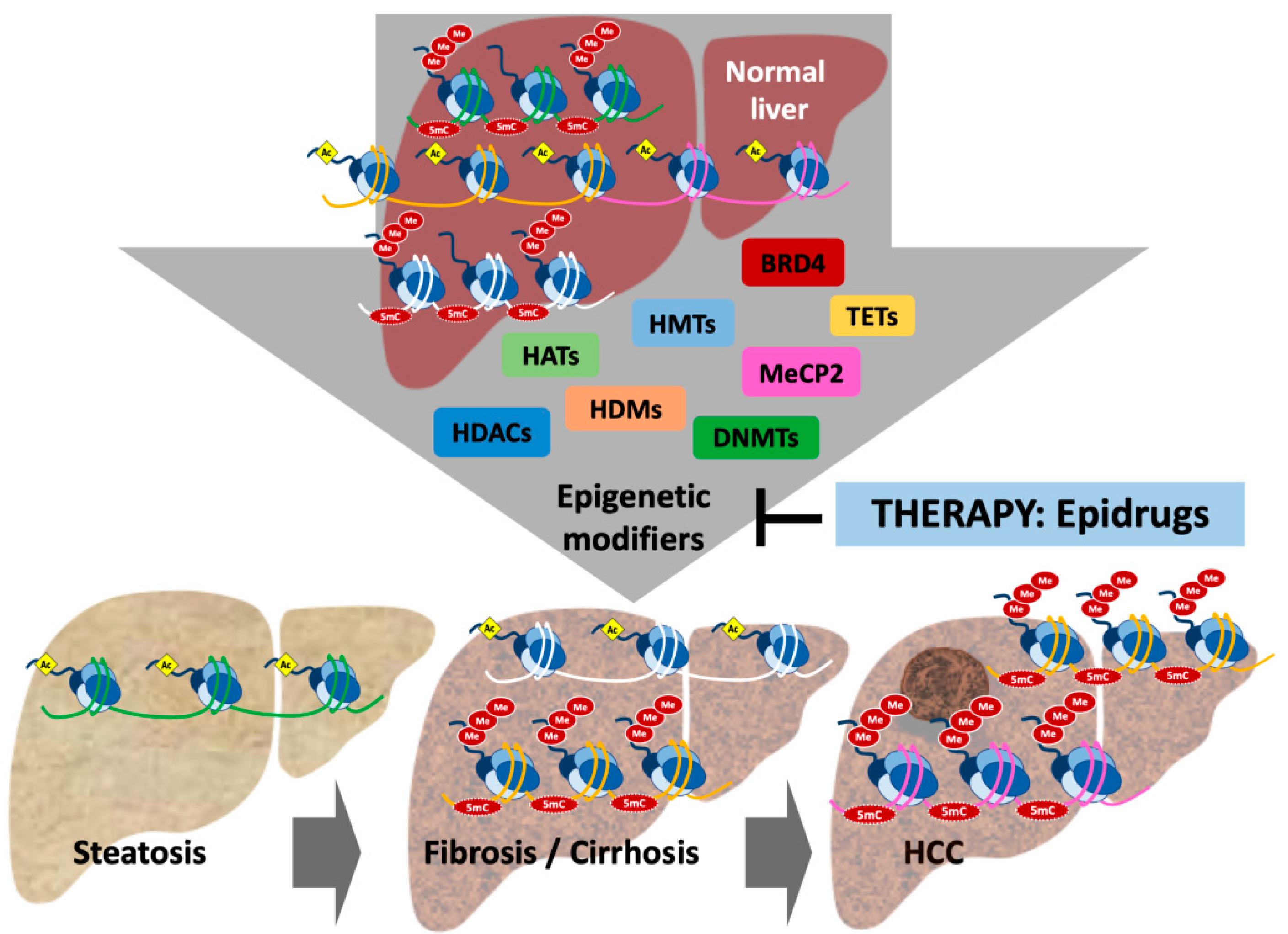 Cancers 13 01265 g001 Cancers 13 01265 g001