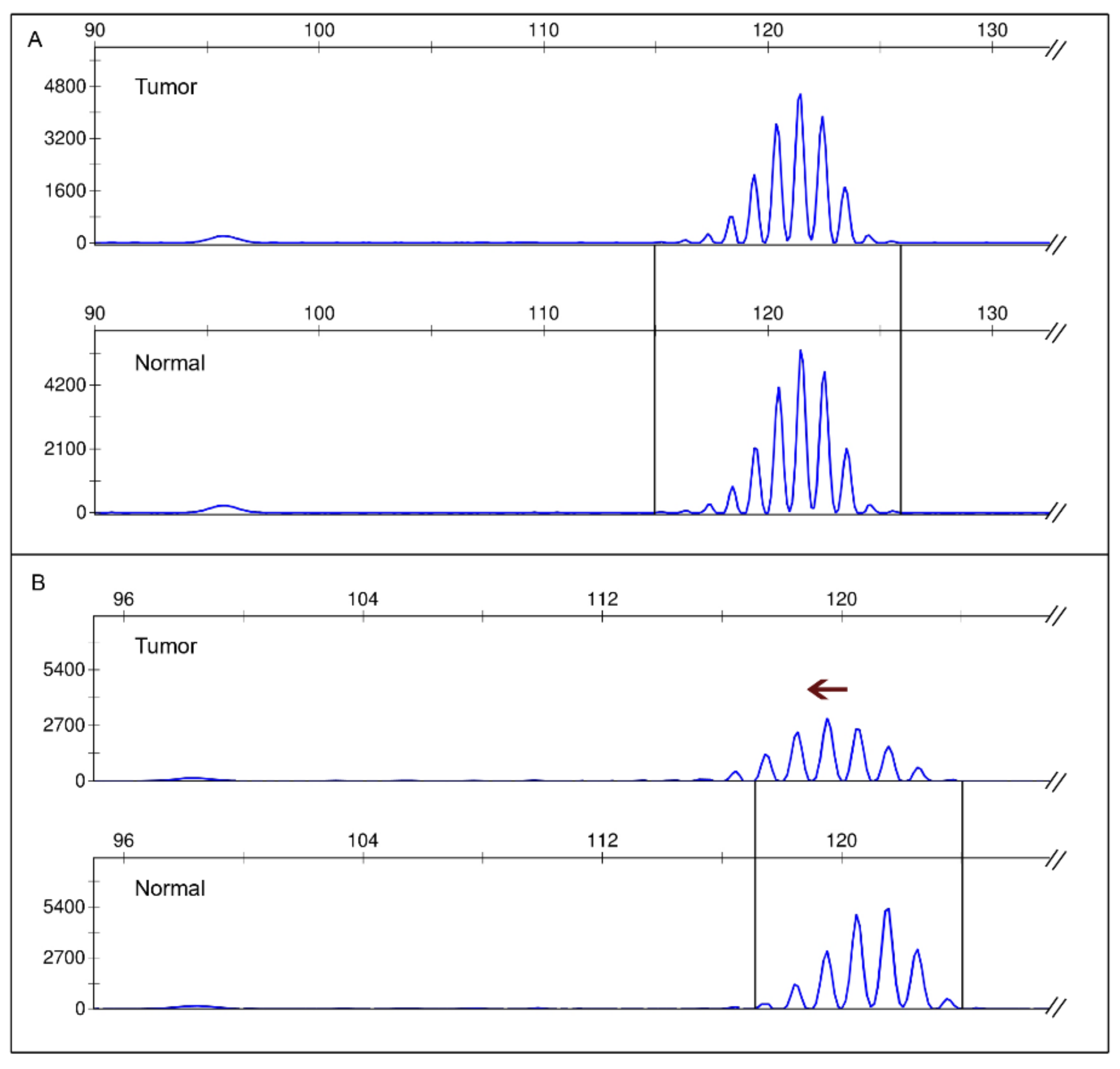 Cancers 13 01268 g001
