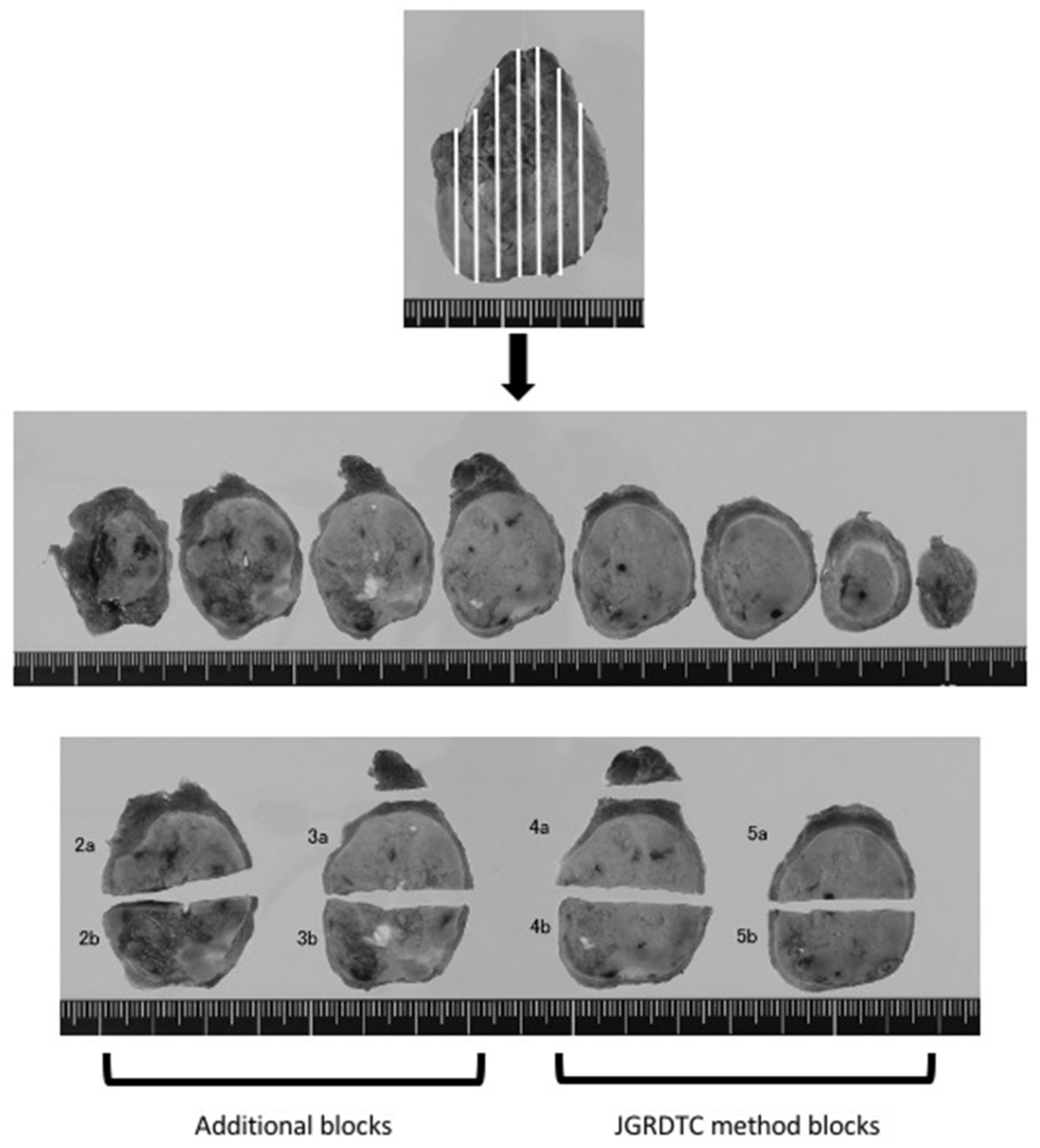 Cancers 13 01270 g001 Cancers 13 01270 g001