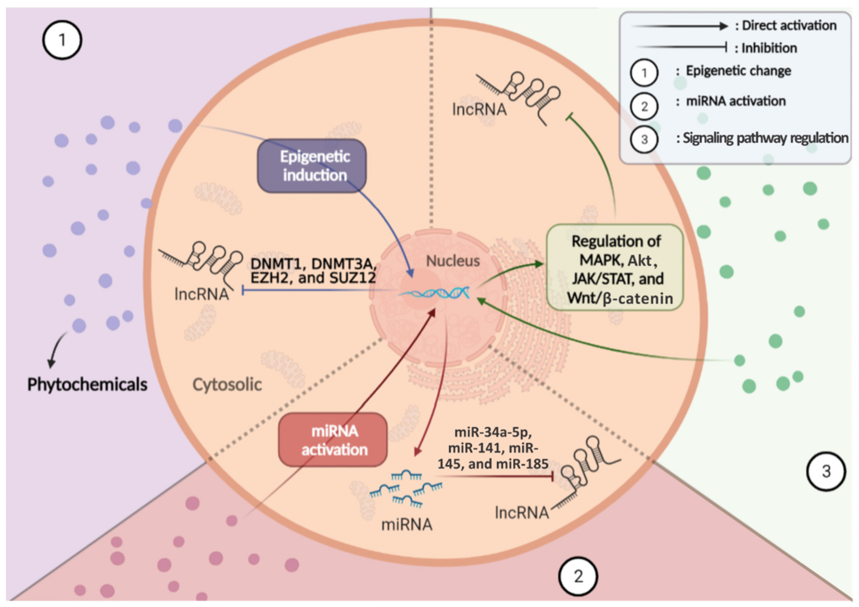 Cancers 13 01274 g003 Cancers 13 01274 g003