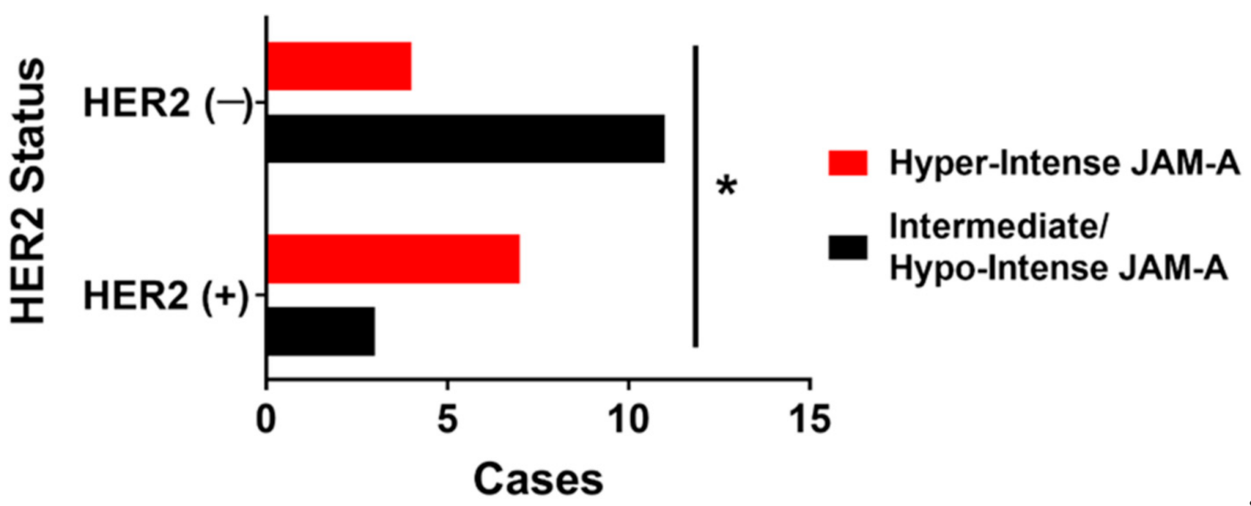 Cancers 13 01286 g005 Cancers 13 01286 g005