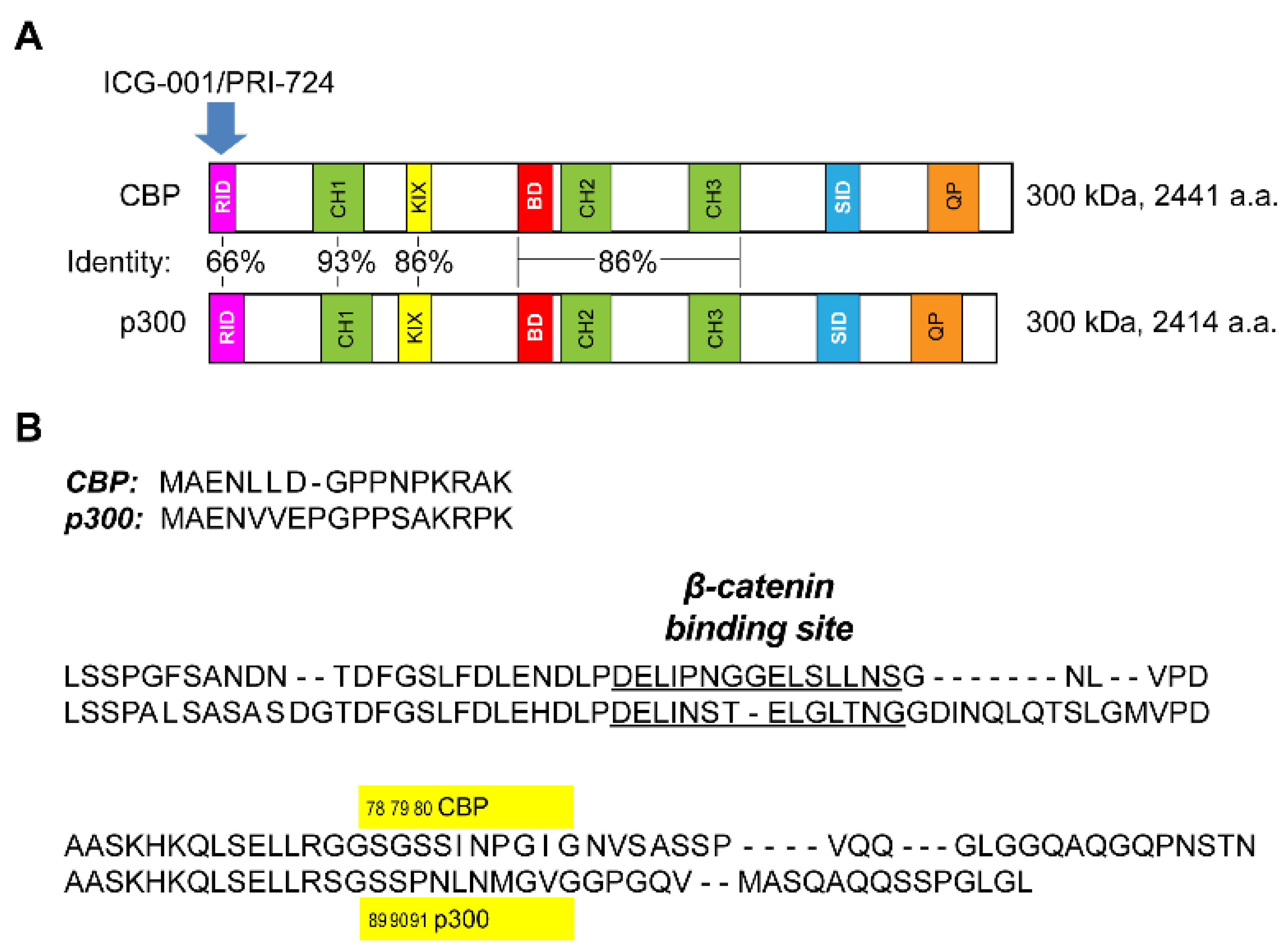 Kou 【TH×E リキッド 1ml】 PHC TH×E CBP 強化Xドリーム 1ml CBN CBP CRDP CRDH THXE6614（PHC 0.5ml