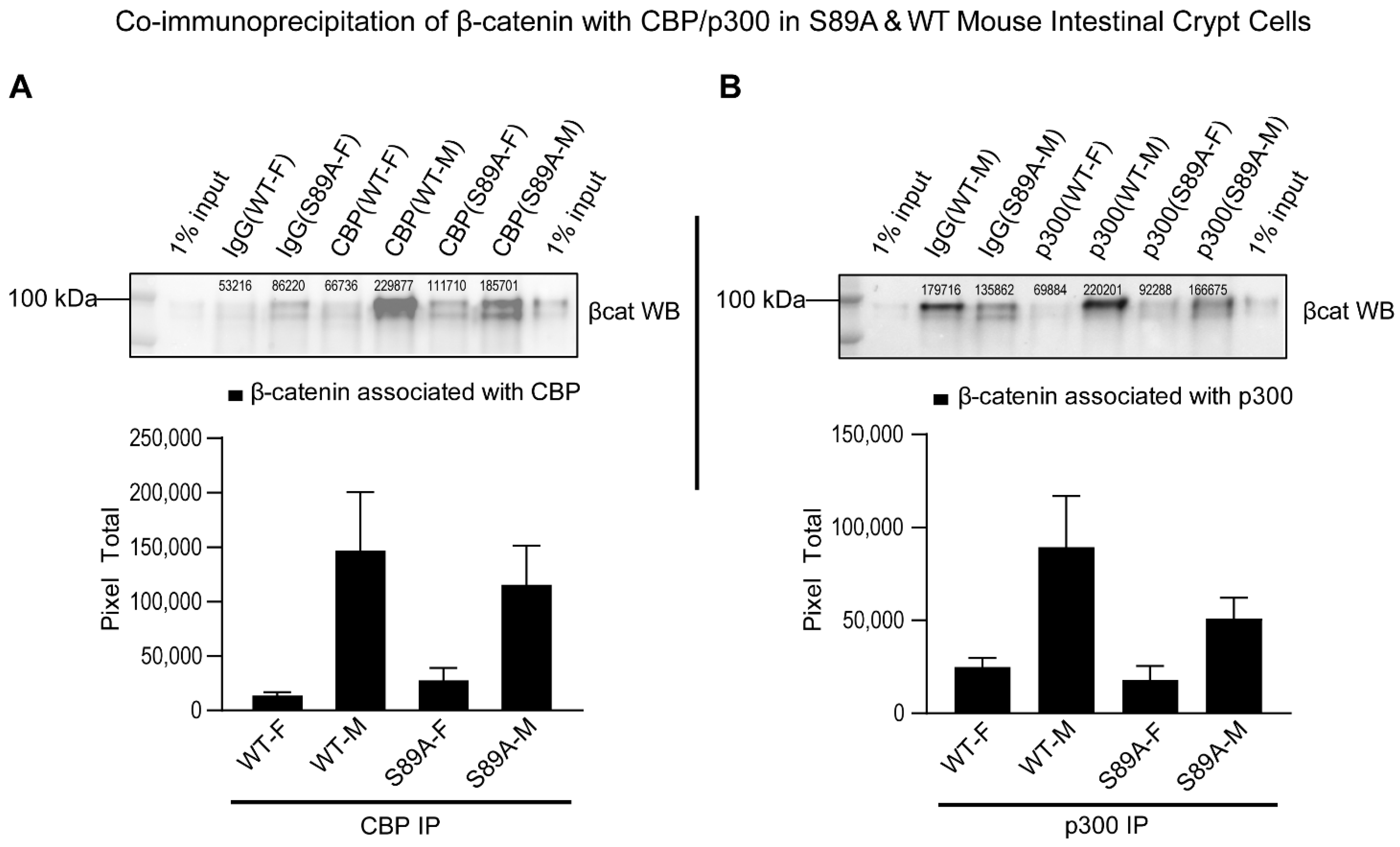 Cancers 13 01288 g002