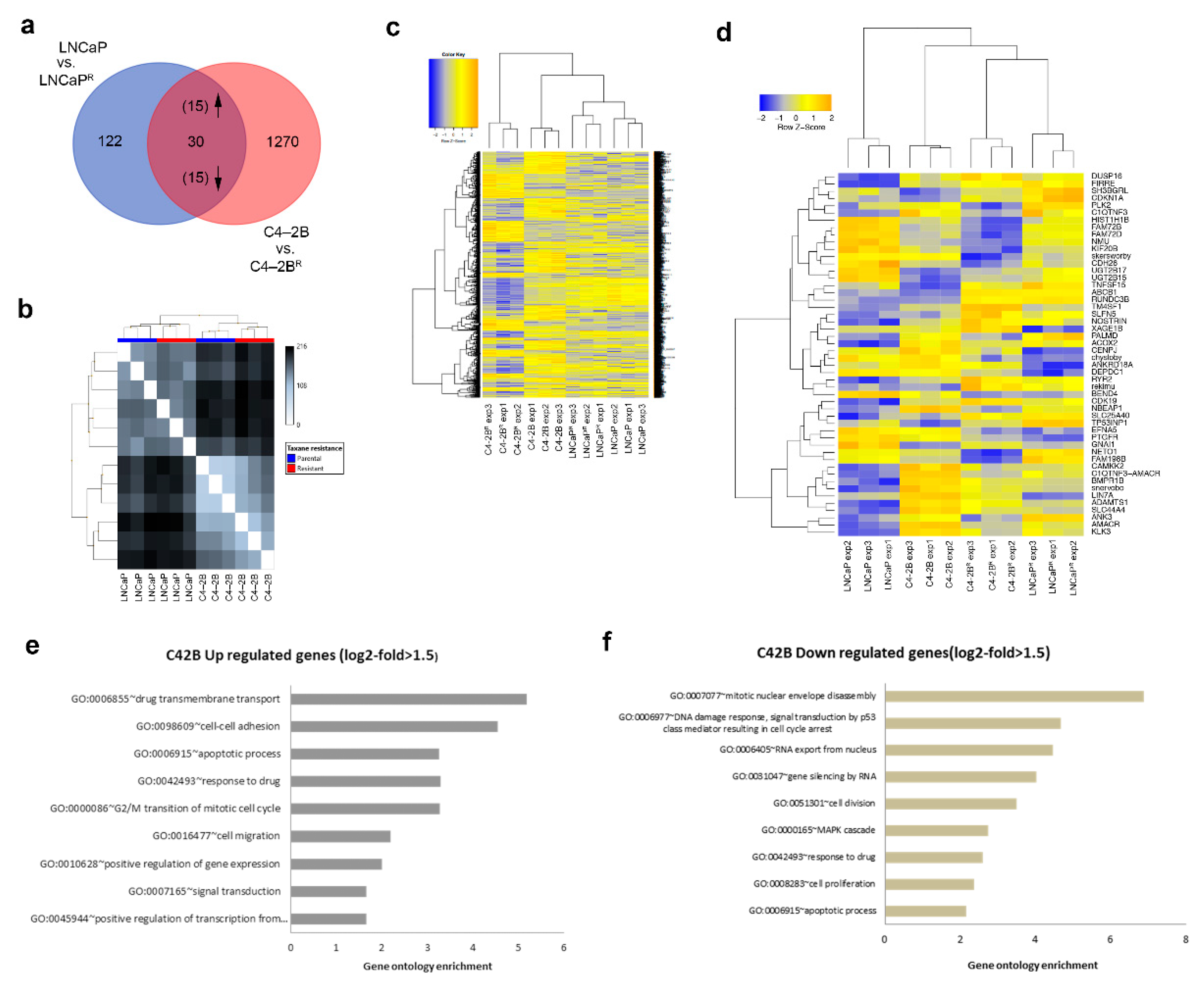 Cancers 13 01290 g002 Cancers 13 01290 g002