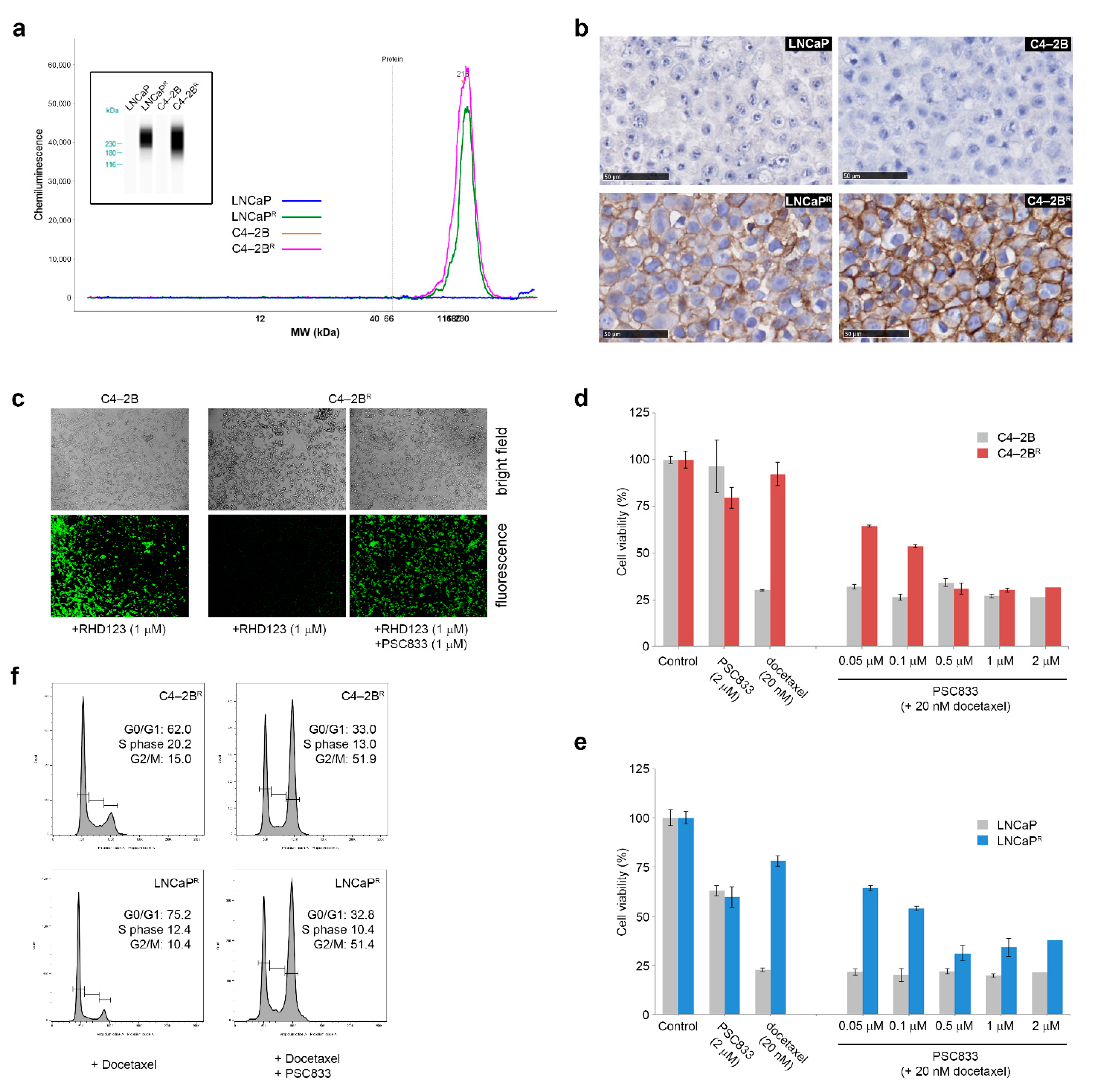 Cancers 13 01290 g004 Cancers 13 01290 g004