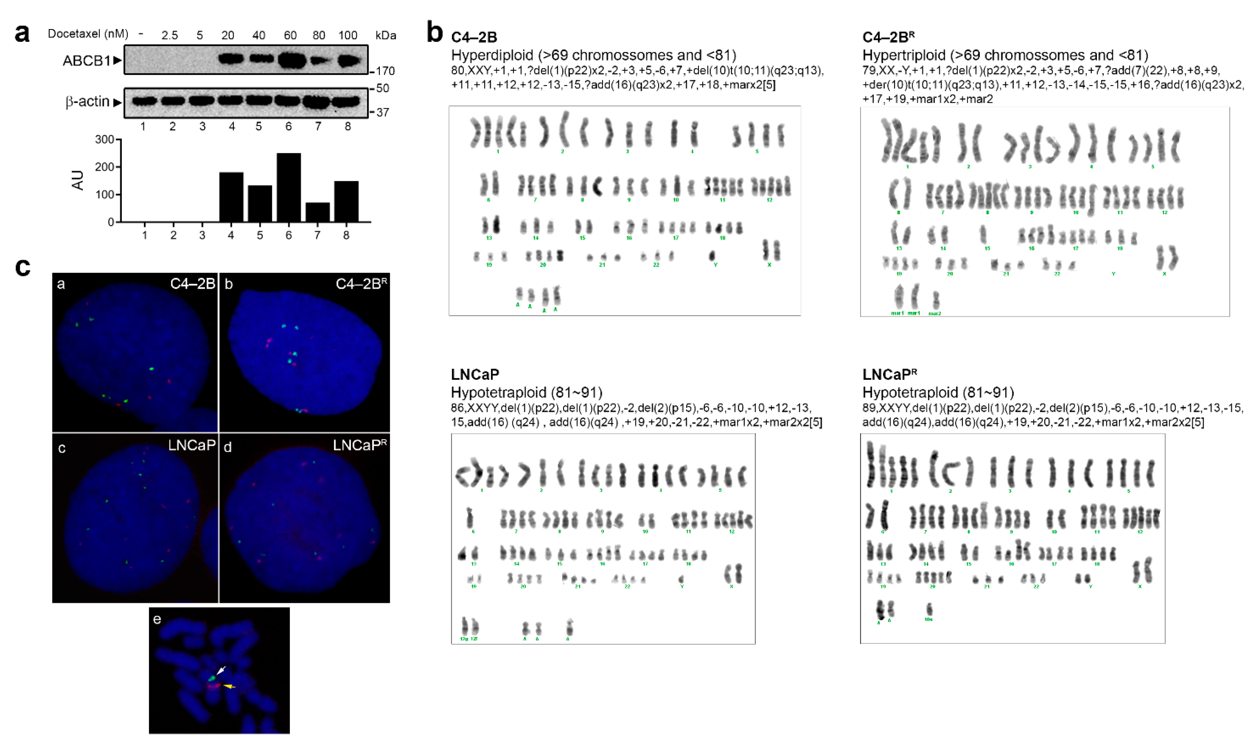 Cancers 13 01290 g005 Cancers 13 01290 g005