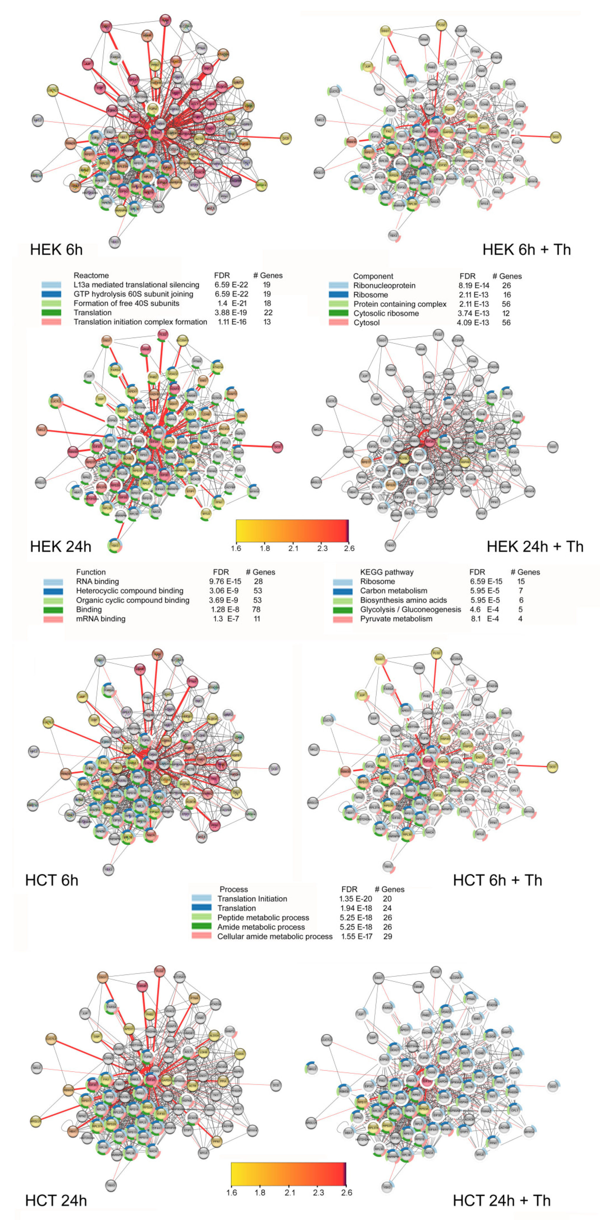 Cancers 13 01293 g005 Cancers 13 01293 g005