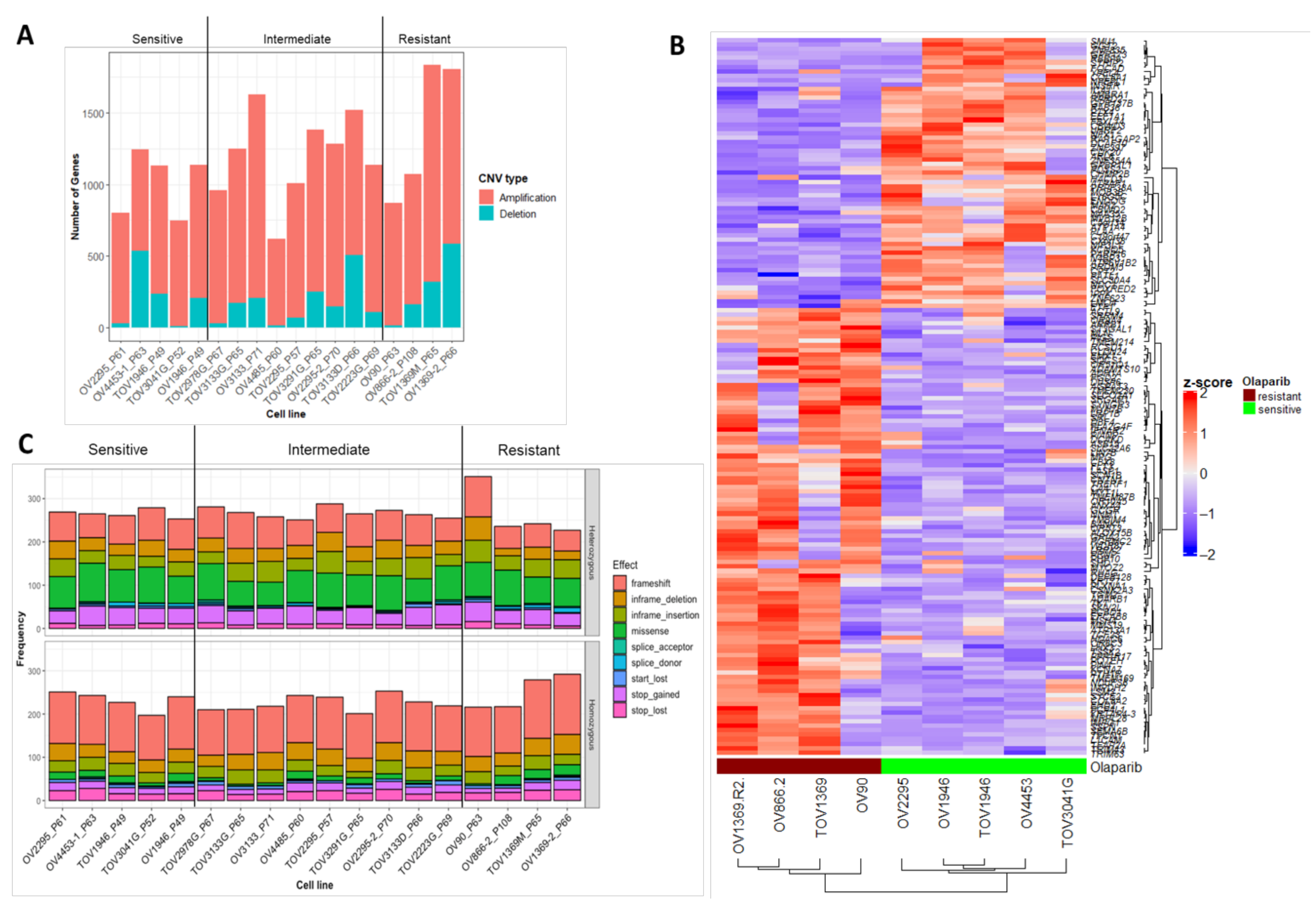 Cancers 13 01296 g003 Cancers 13 01296 g003