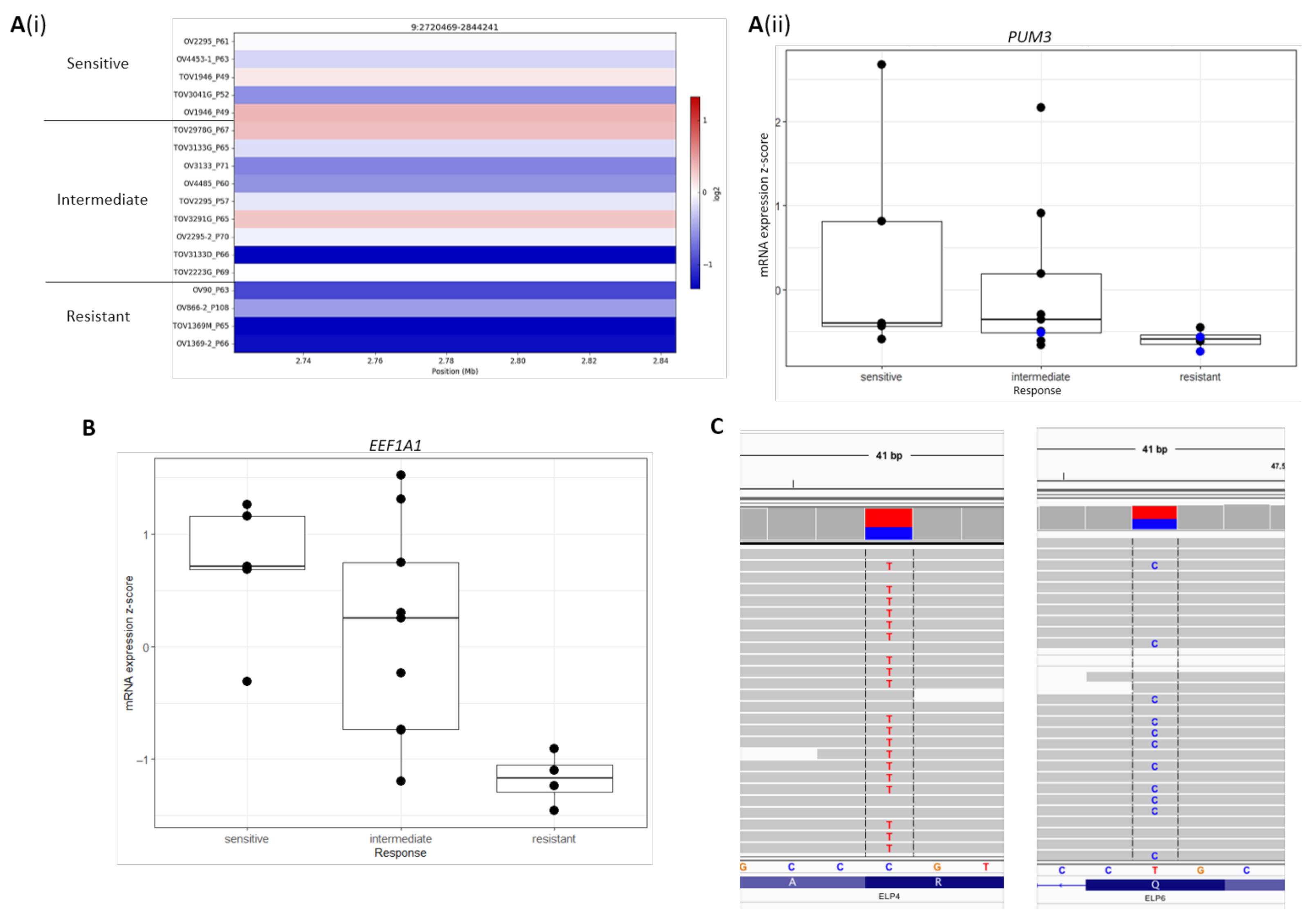 Cancers 13 01296 g005 Cancers 13 01296 g005