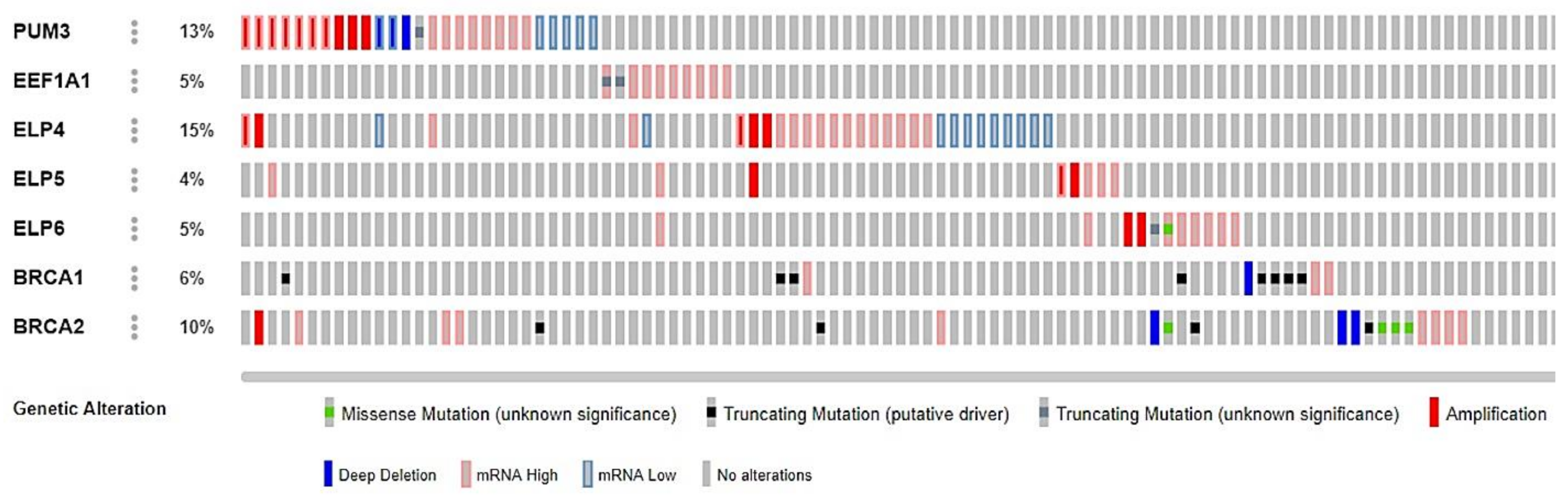 Cancers 13 01296 g006 Cancers 13 01296 g006
