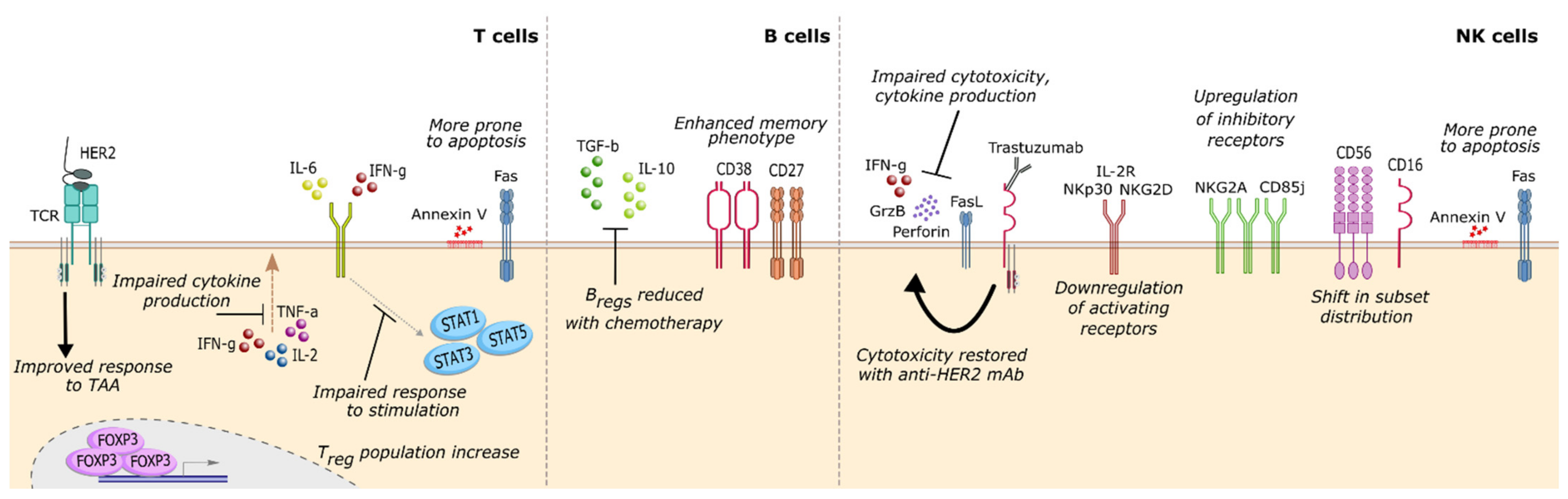 Cancers 13 01305 g001