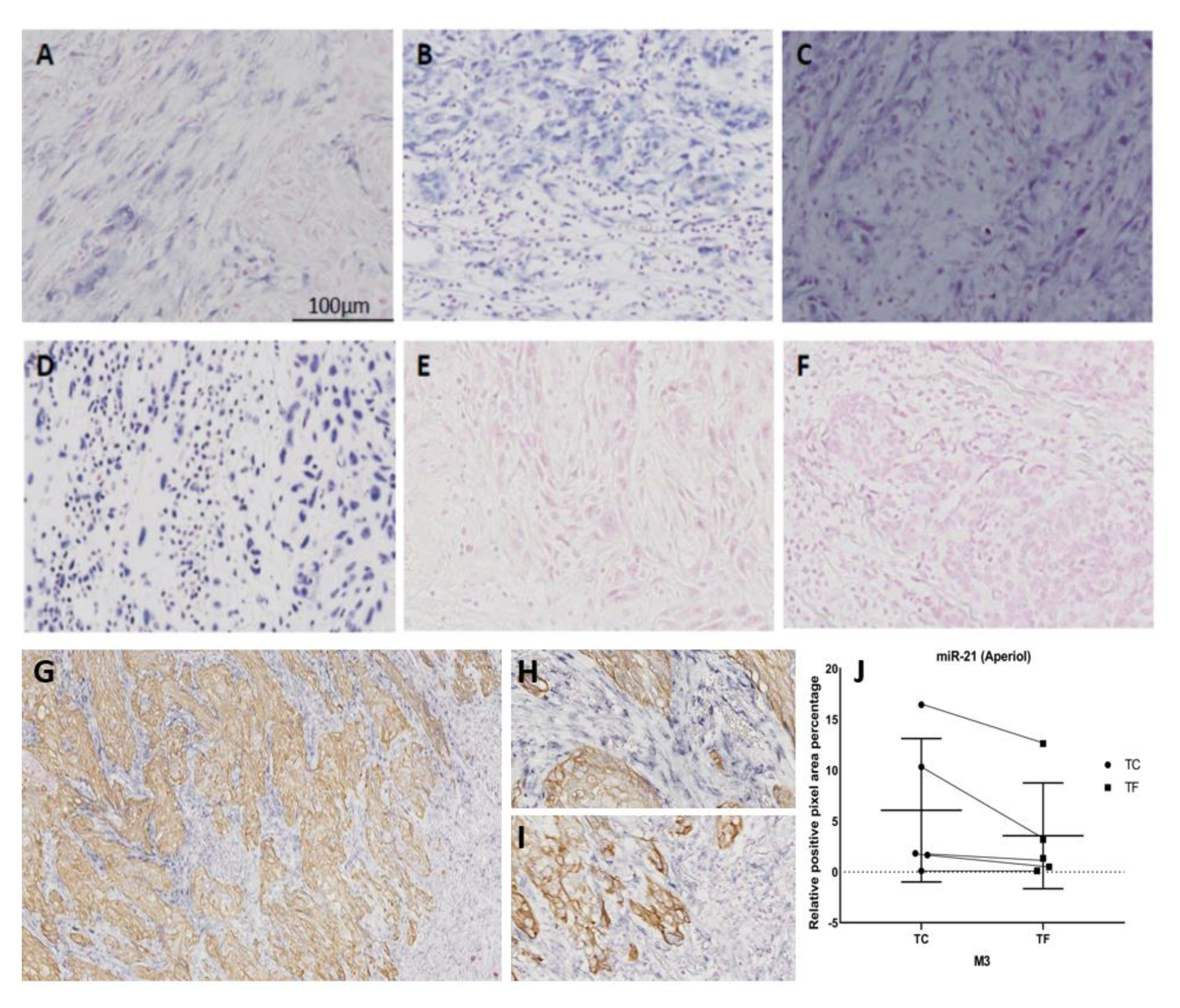 Cancers 13 01307 g002 Cancers 13 01307 g002