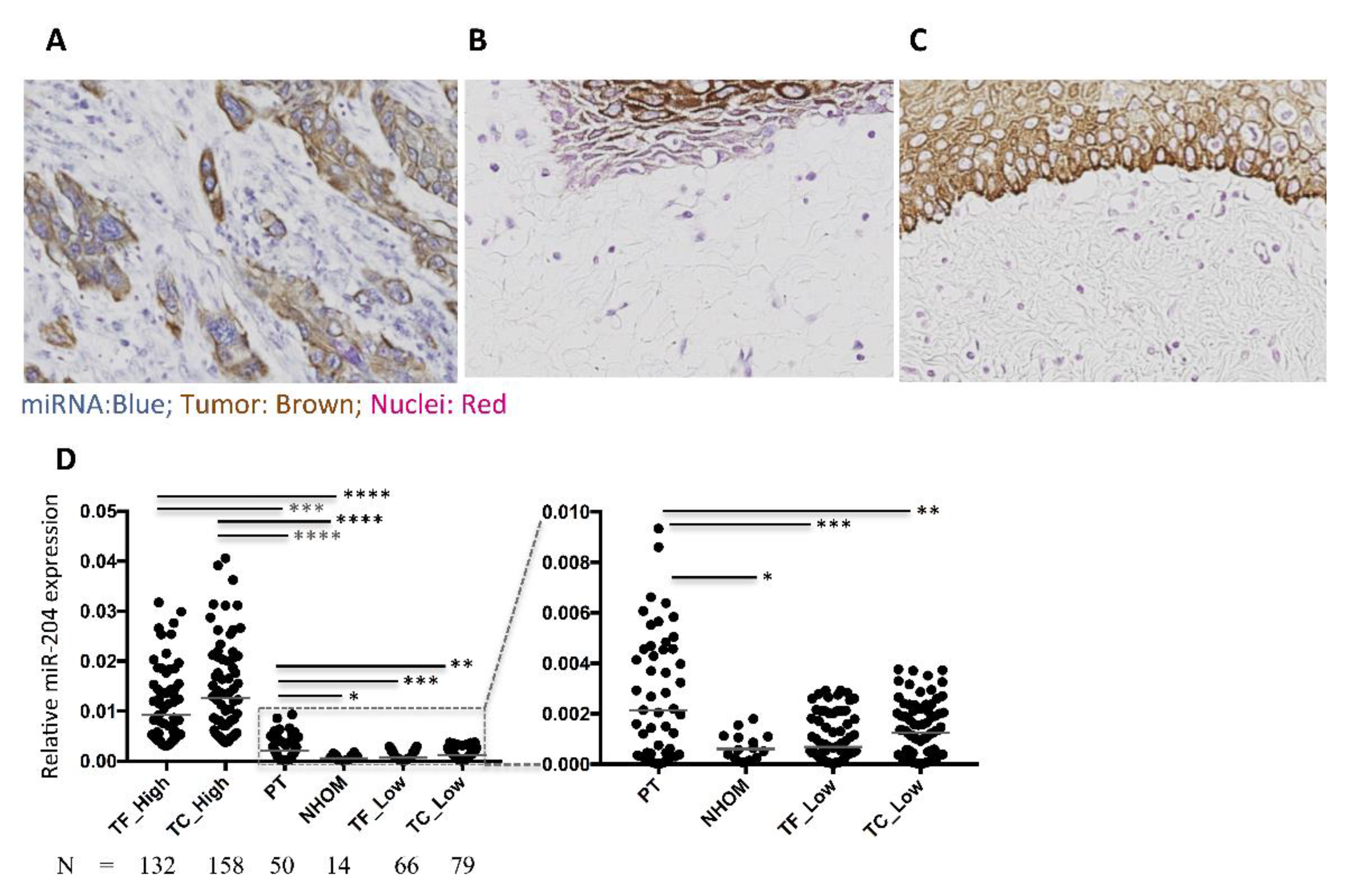 Cancers 13 01307 g004 Cancers 13 01307 g004