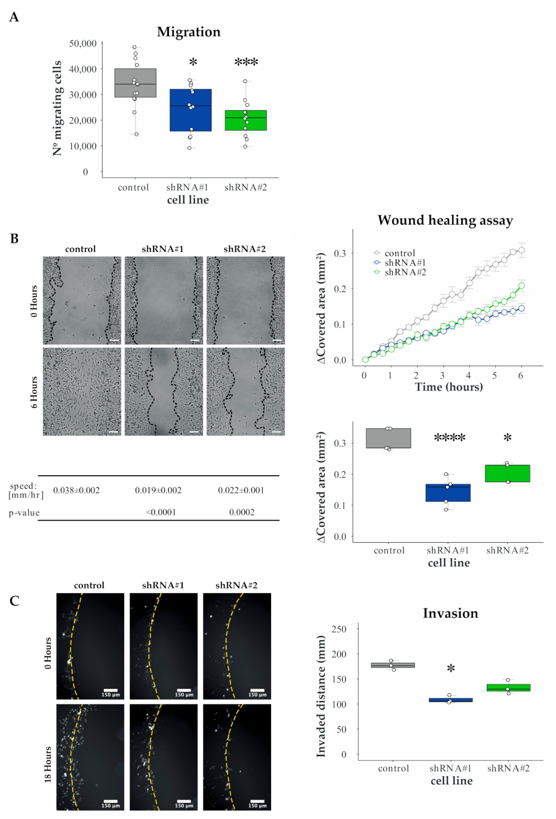 Cancers 13 01309 g003 Cancers 13 01309 g003