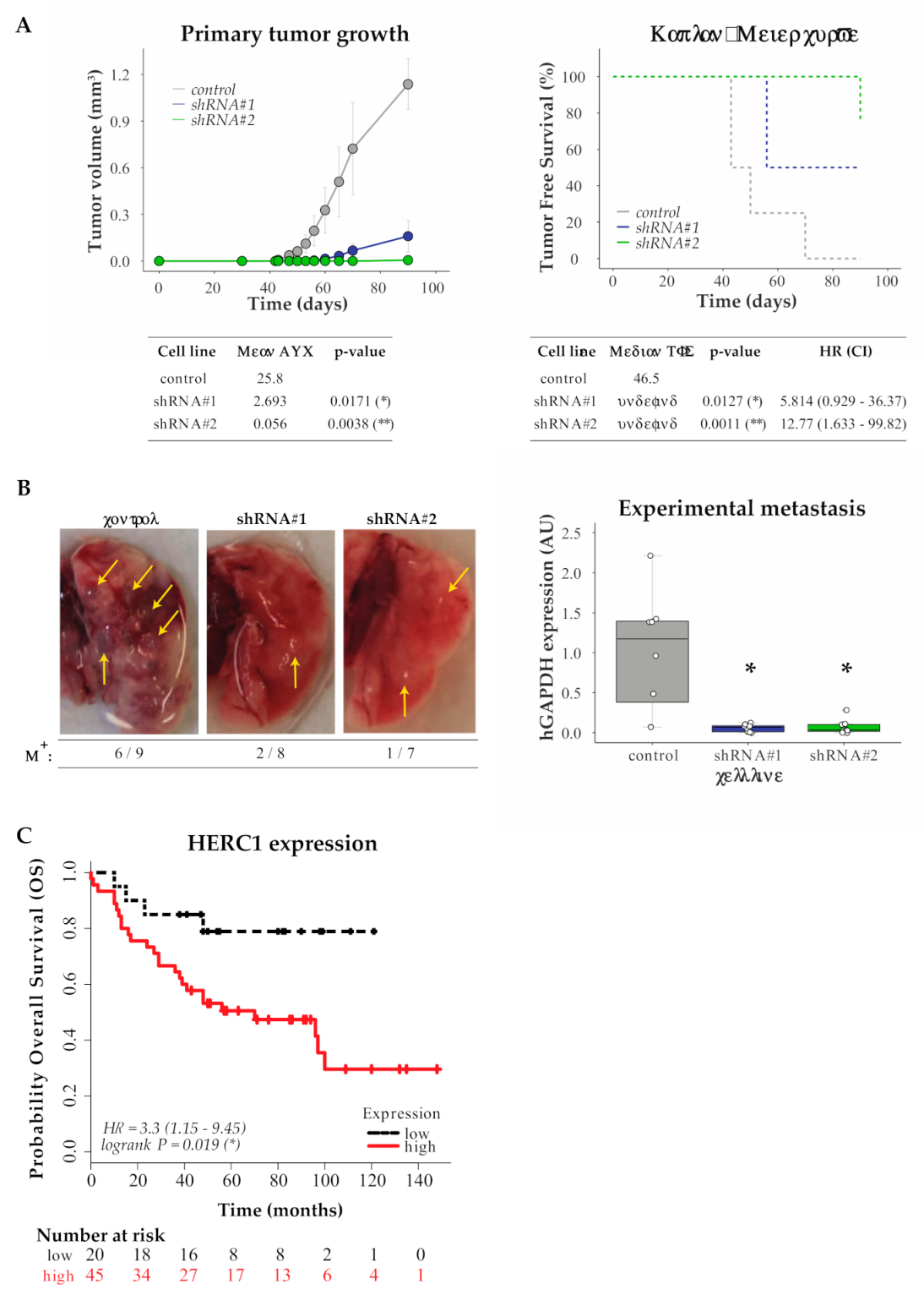 Cancers 13 01309 g004 Cancers 13 01309 g004