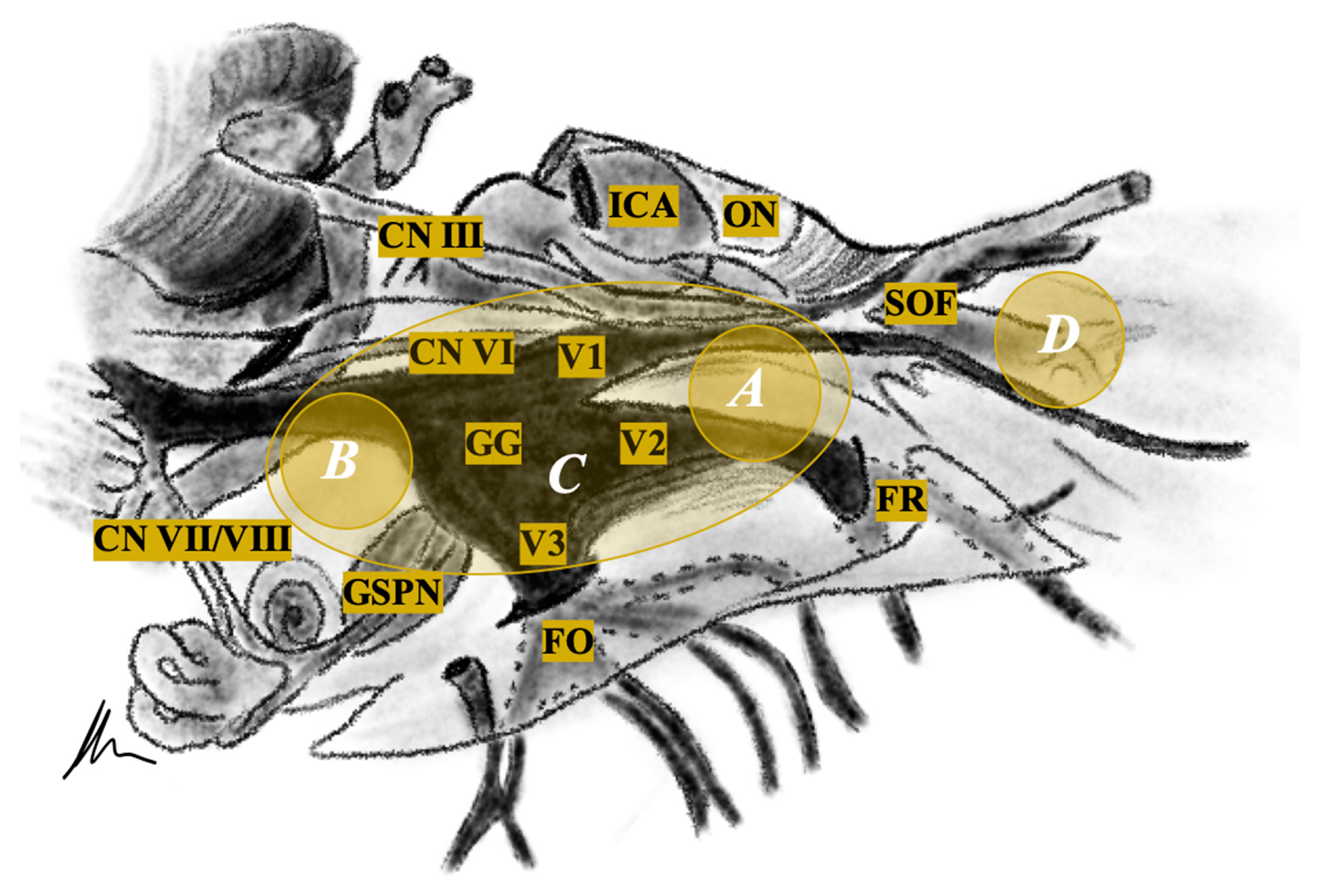 Cancers 13 01310 g001