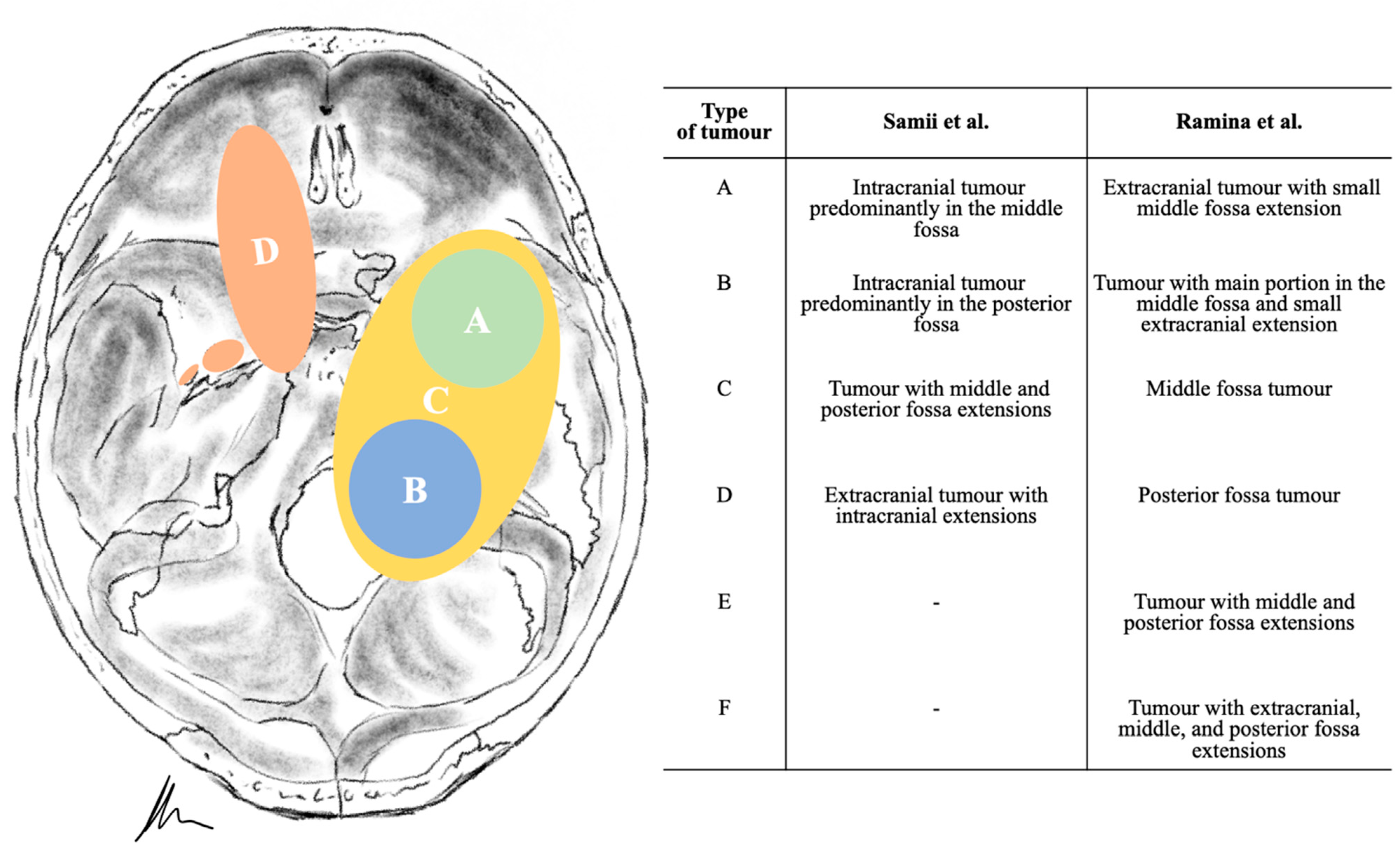 Cancers 13 01310 g002