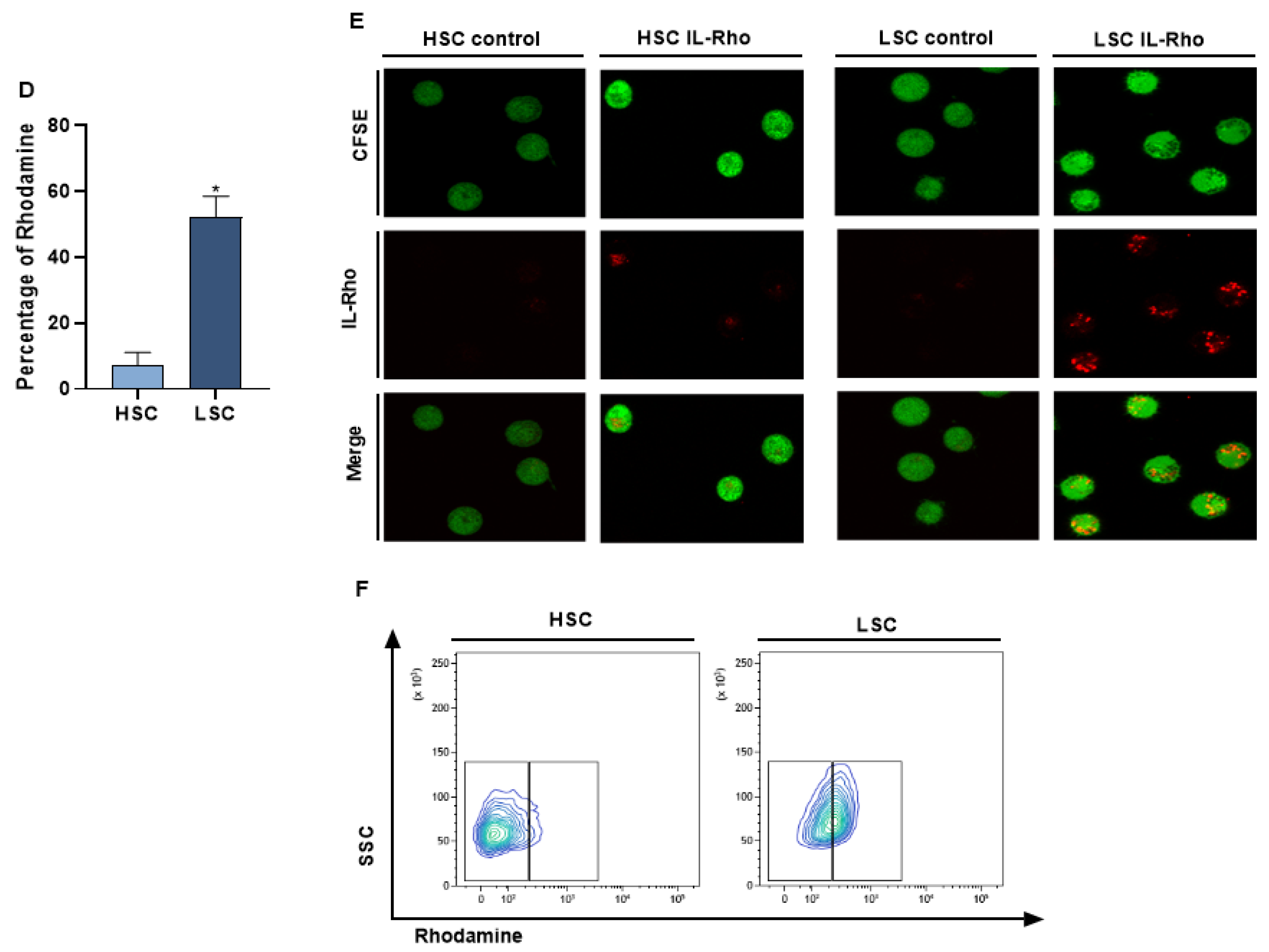 Cancers 13 01311 g002b