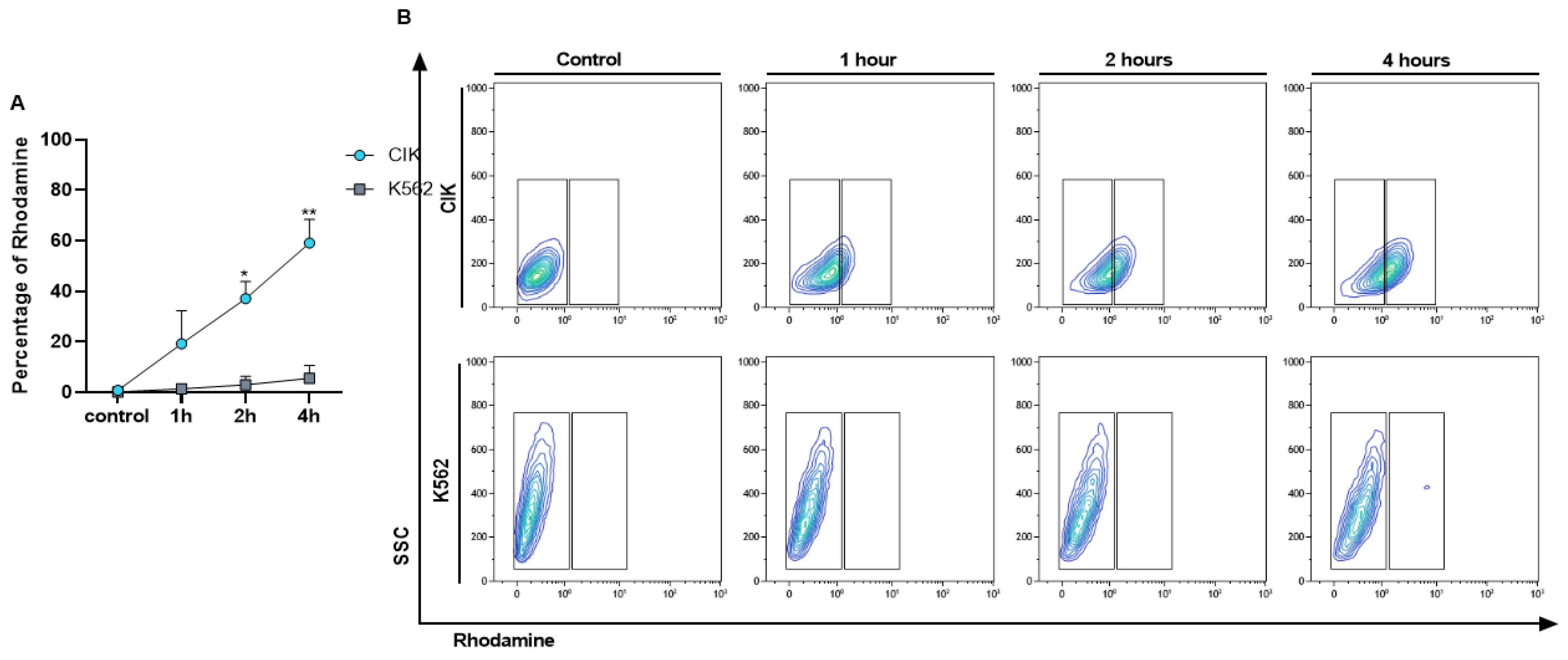Cancers 13 01311 g003