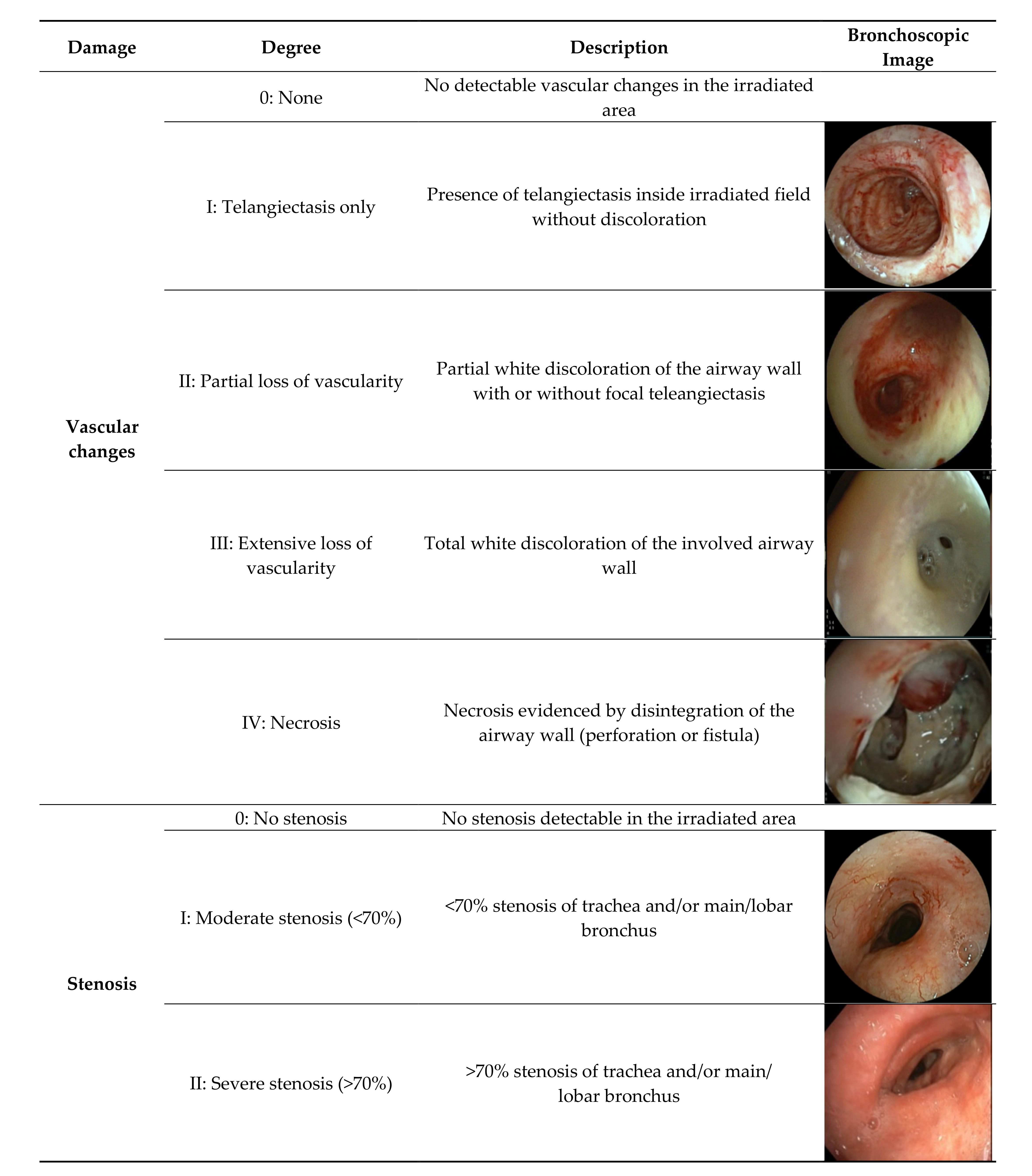 Cancers 13 01313 g001 Cancers 13 01313 g001