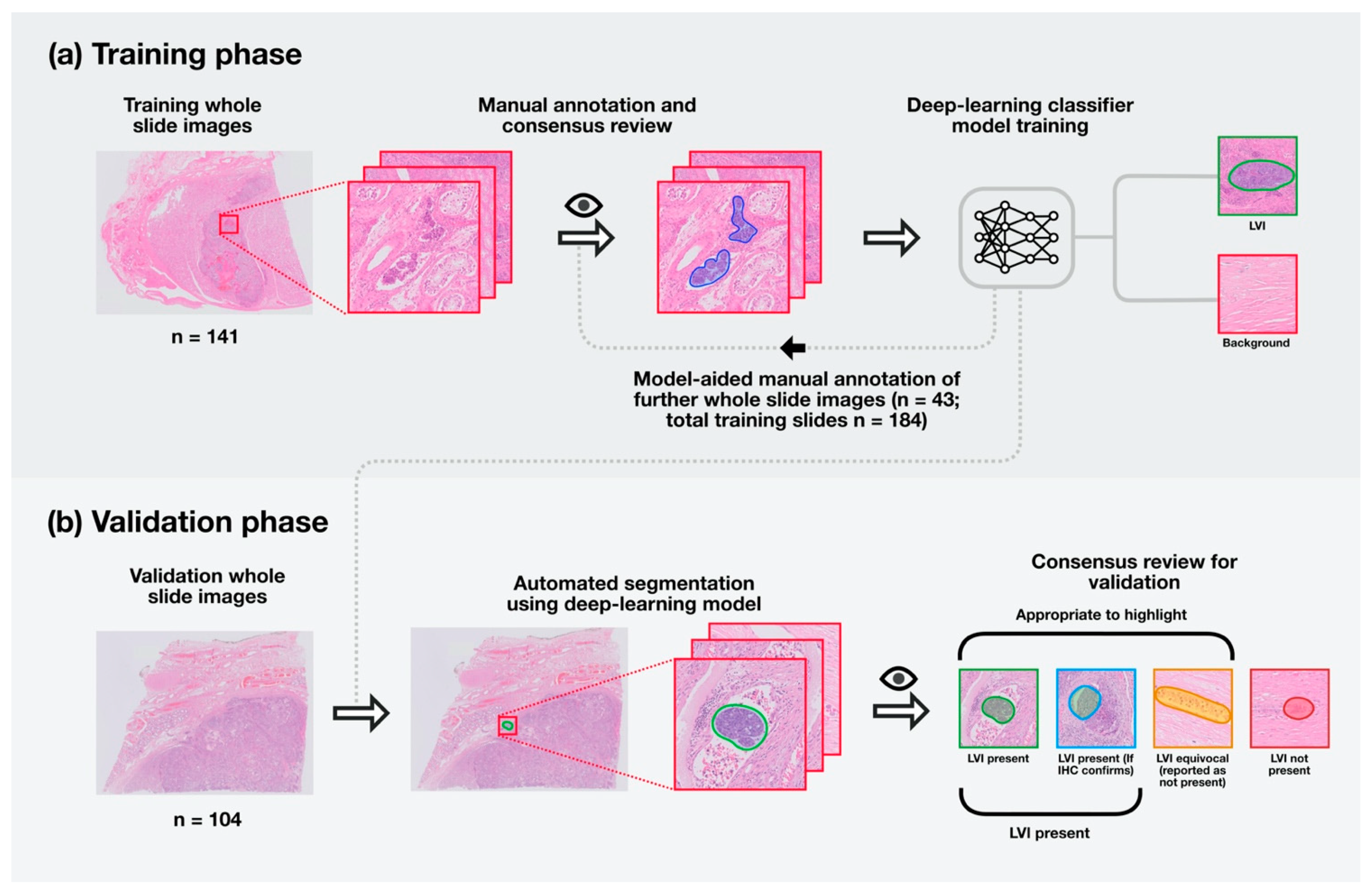 Cancers 13 01325 g001
