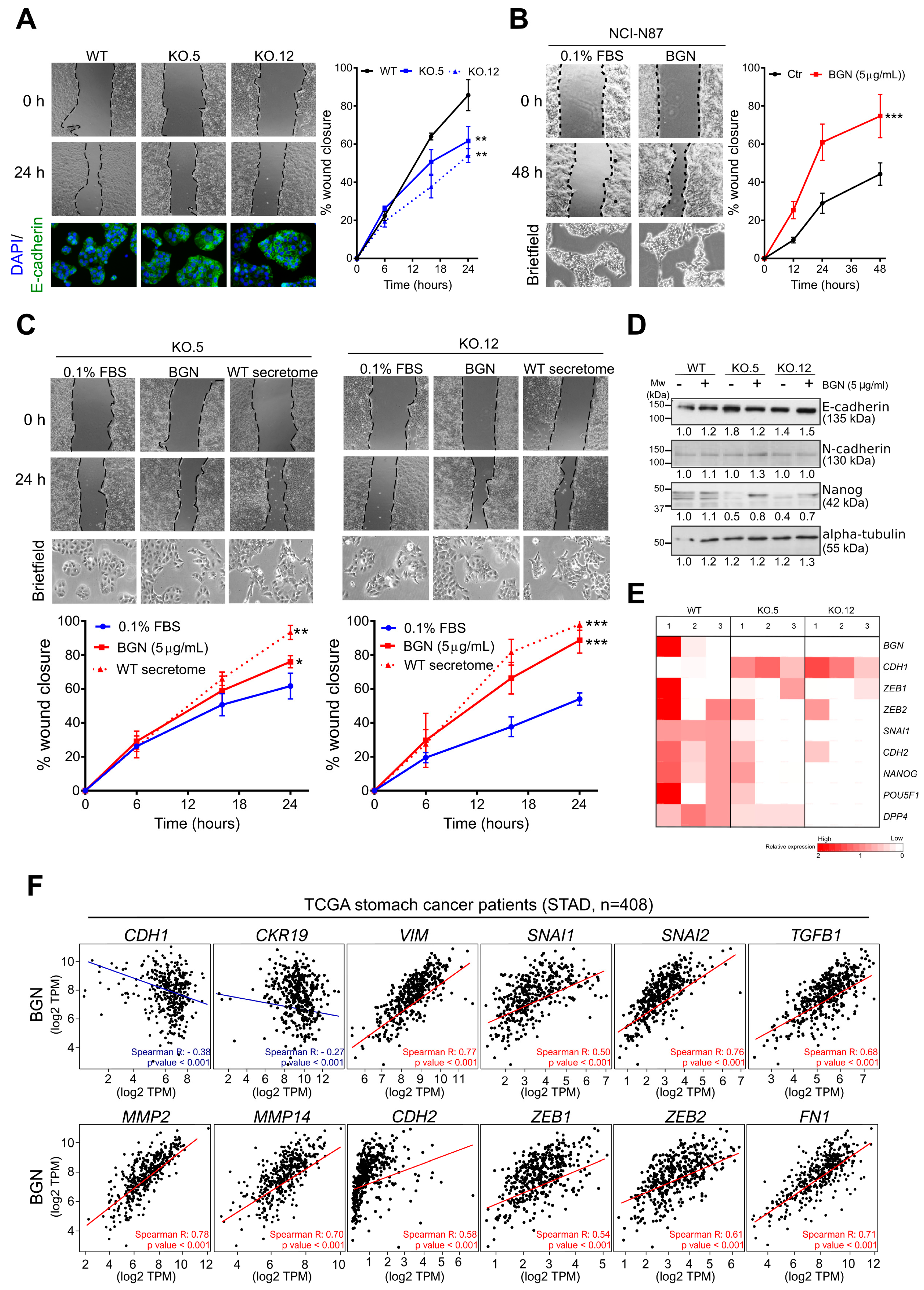 Cancers 13 01330 g004