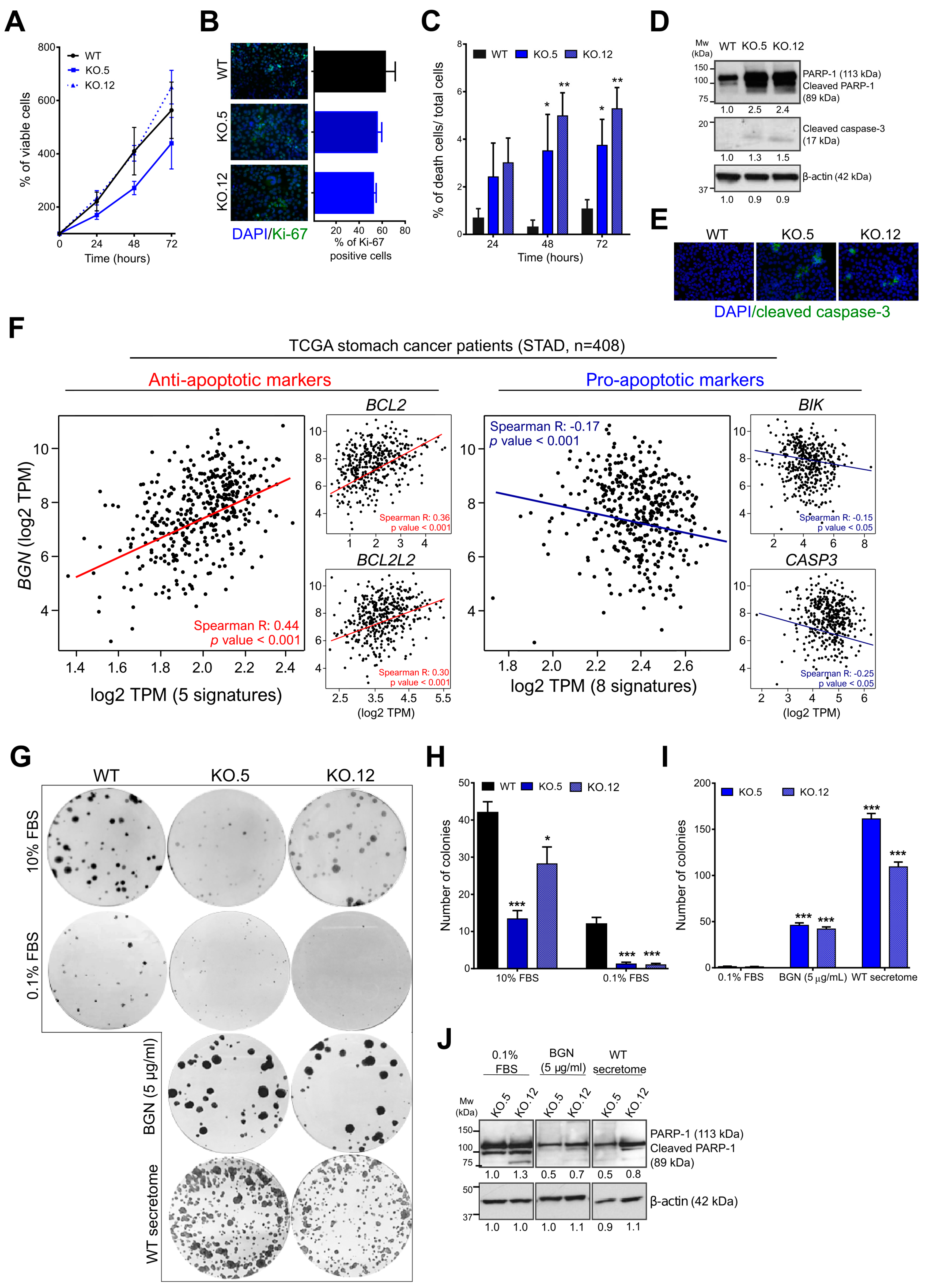 Cancers 13 01330 g005