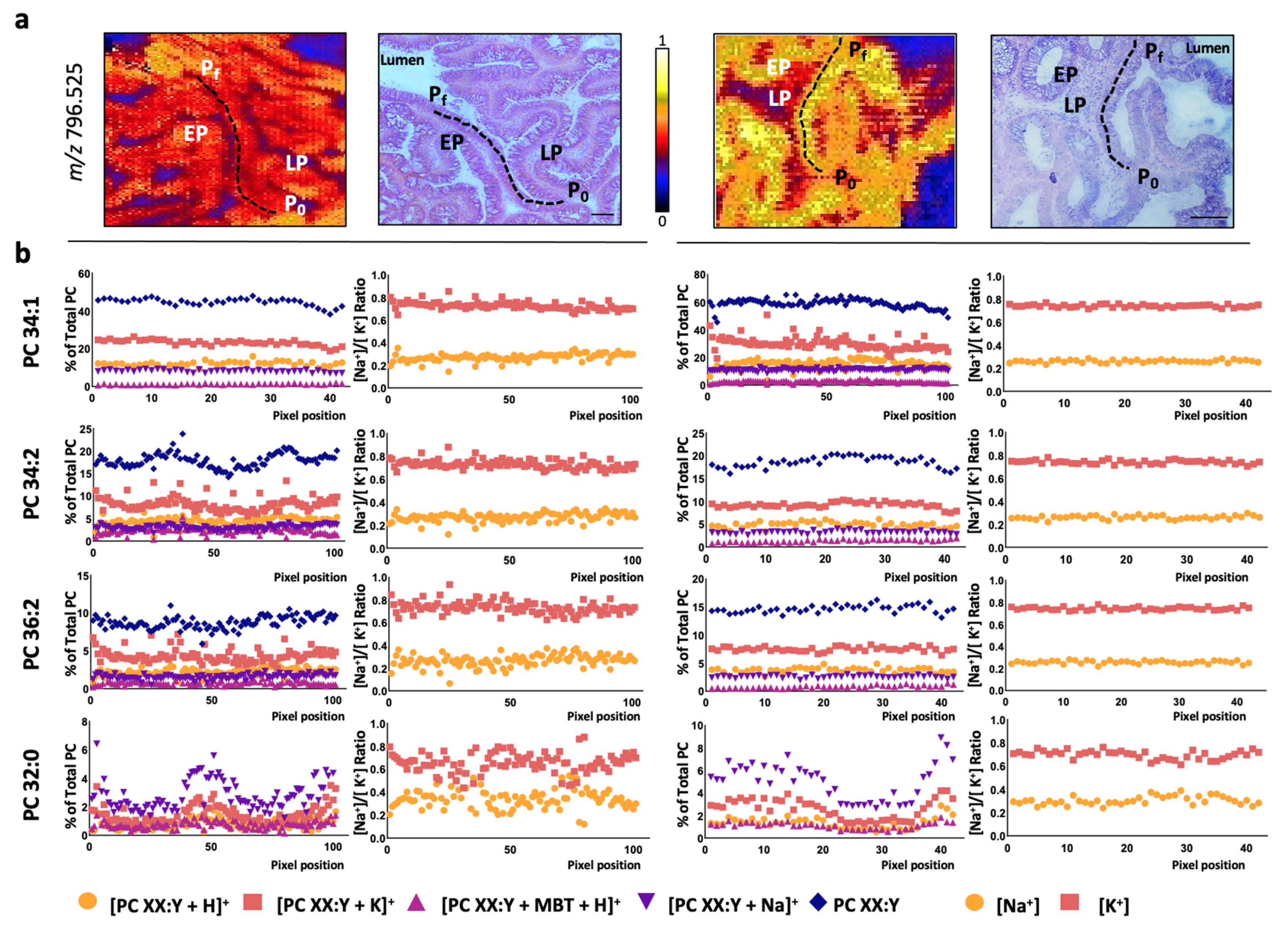 Cancers 13 01350 g003 Cancers 13 01350 g003
