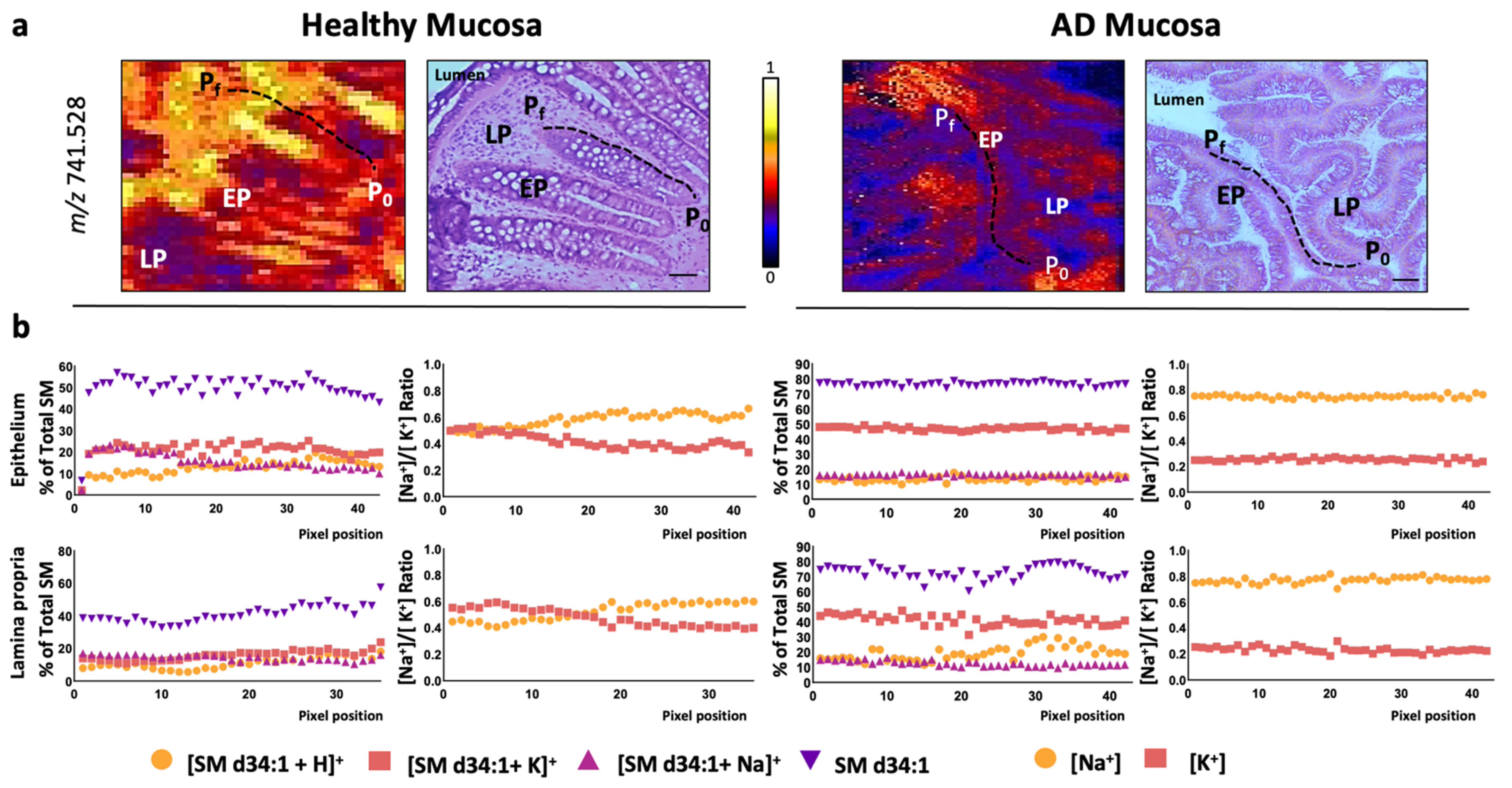 Cancers 13 01350 g006 Cancers 13 01350 g006
