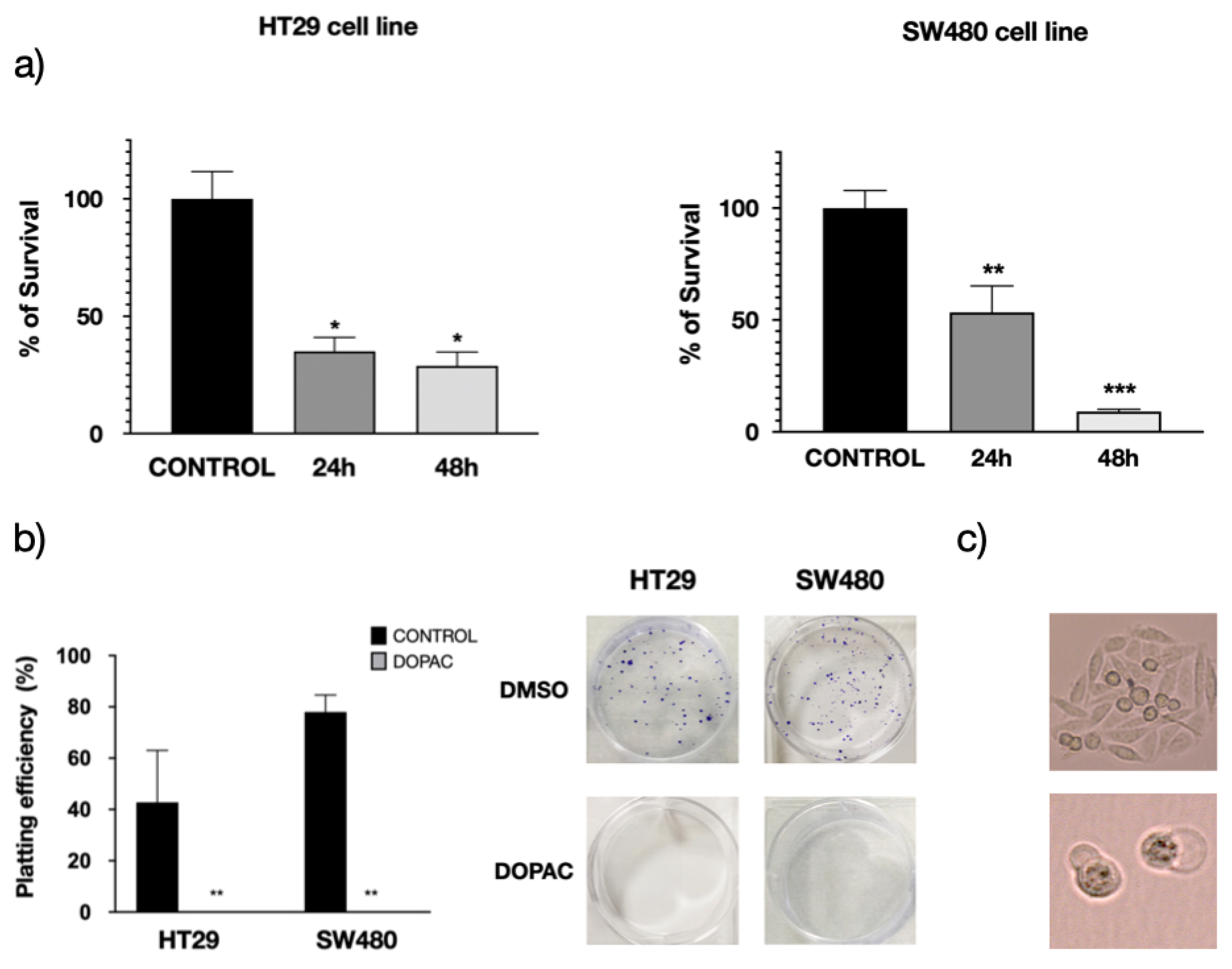 Cancers 13 01350 g010 Cancers 13 01350 g010