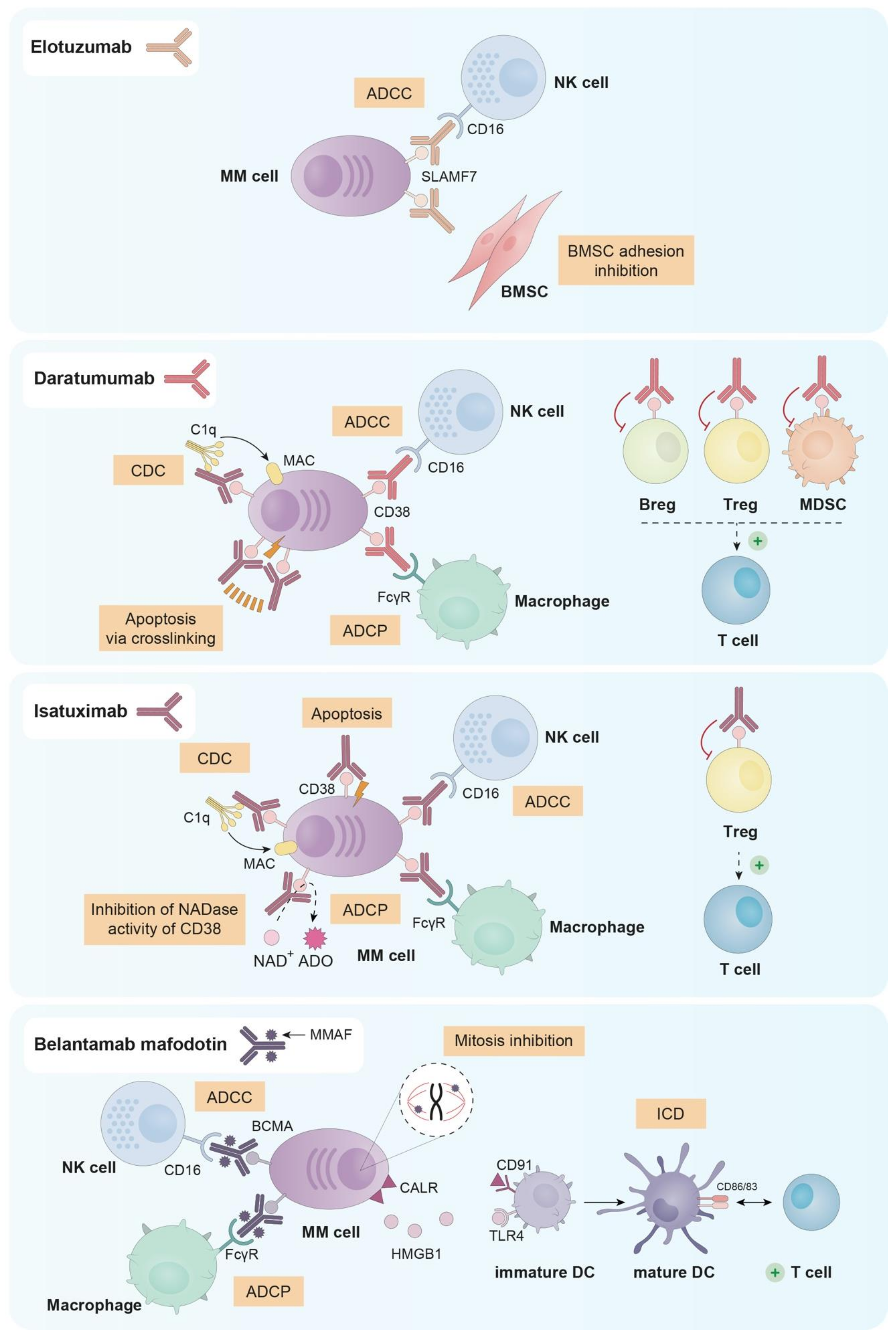 Cancers 13 01353 g002 Cancers 13 01353 g002