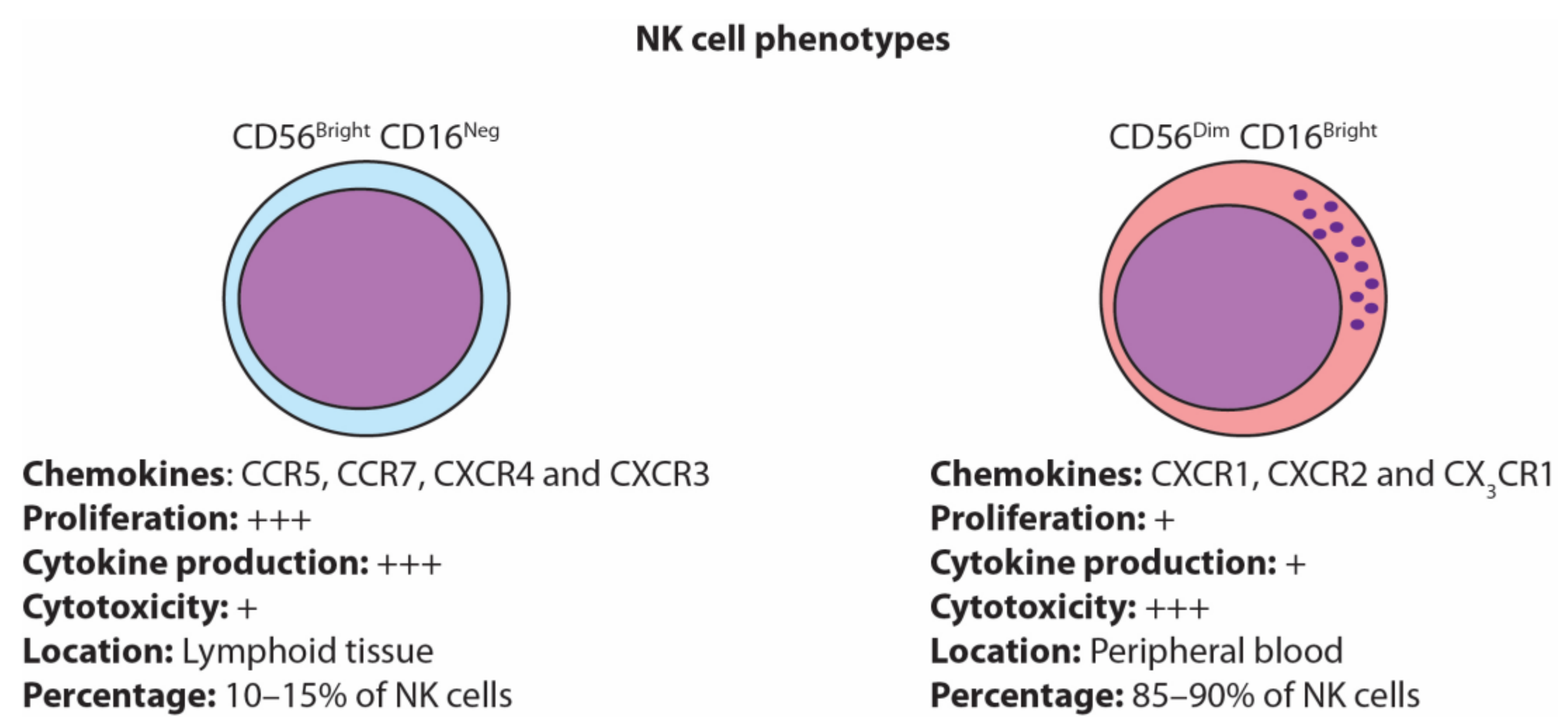 cancers free full text targeting nk cells to enhance melanoma response to immunotherapies html