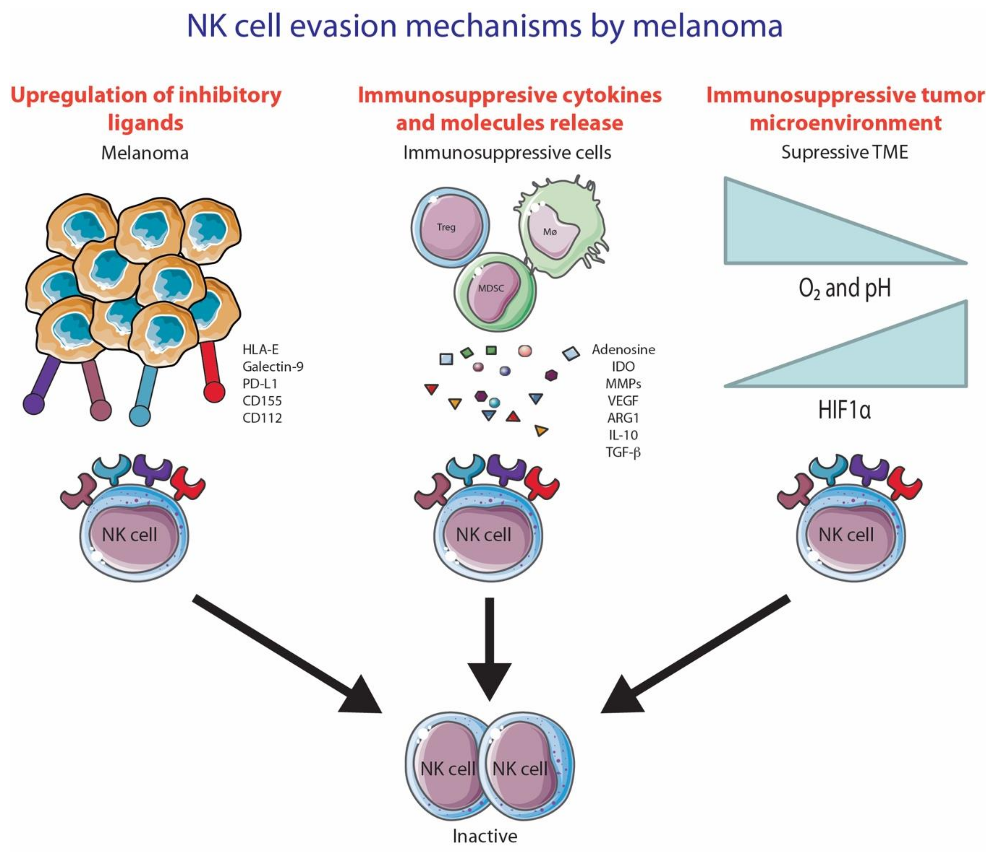 Cancers 13 01363 g003 Cancers 13 01363 g003