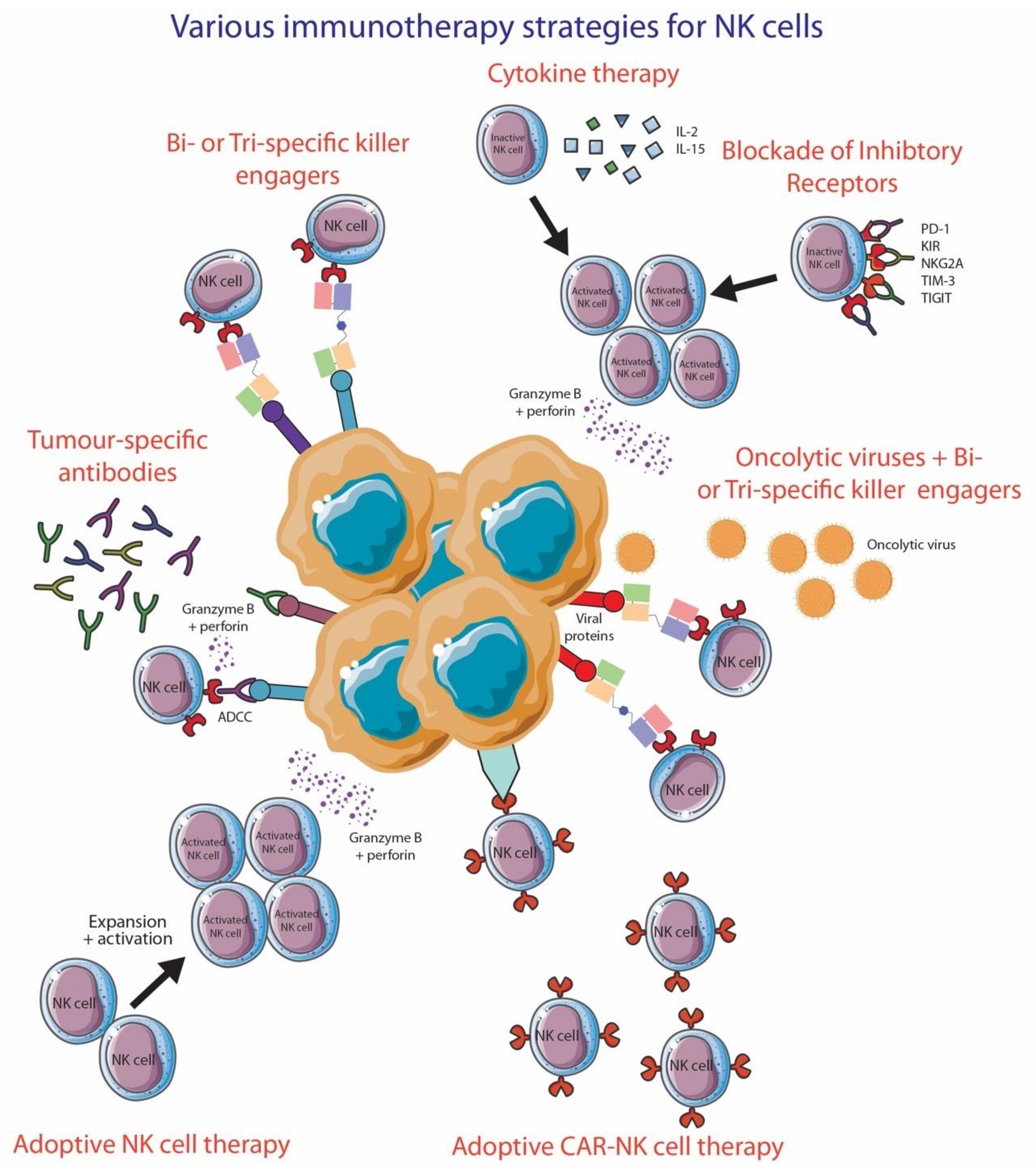 Cancers 13 01363 g004 Cancers 13 01363 g004