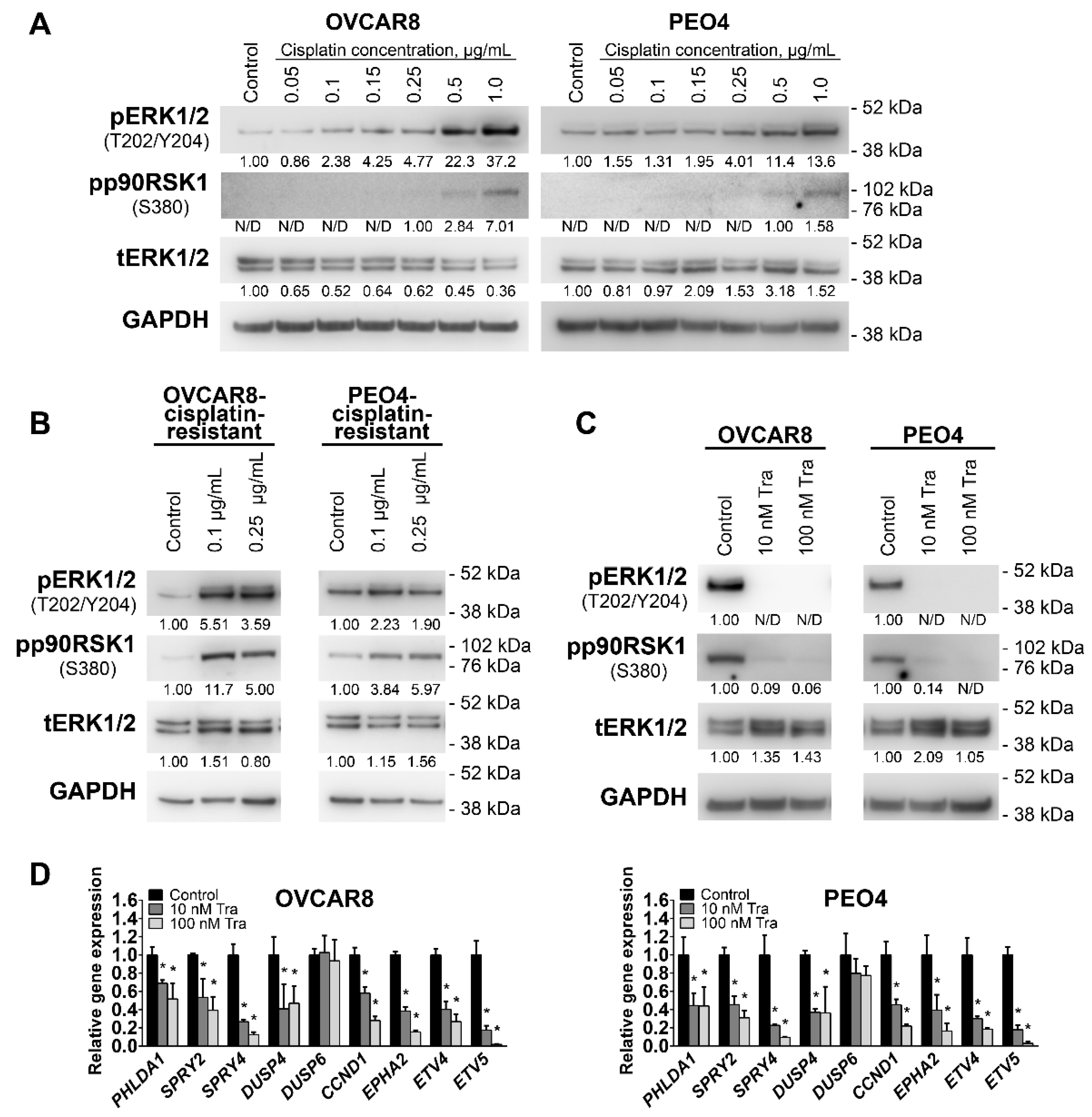 Cancers 13 01369 g003 Cancers 13 01369 g003