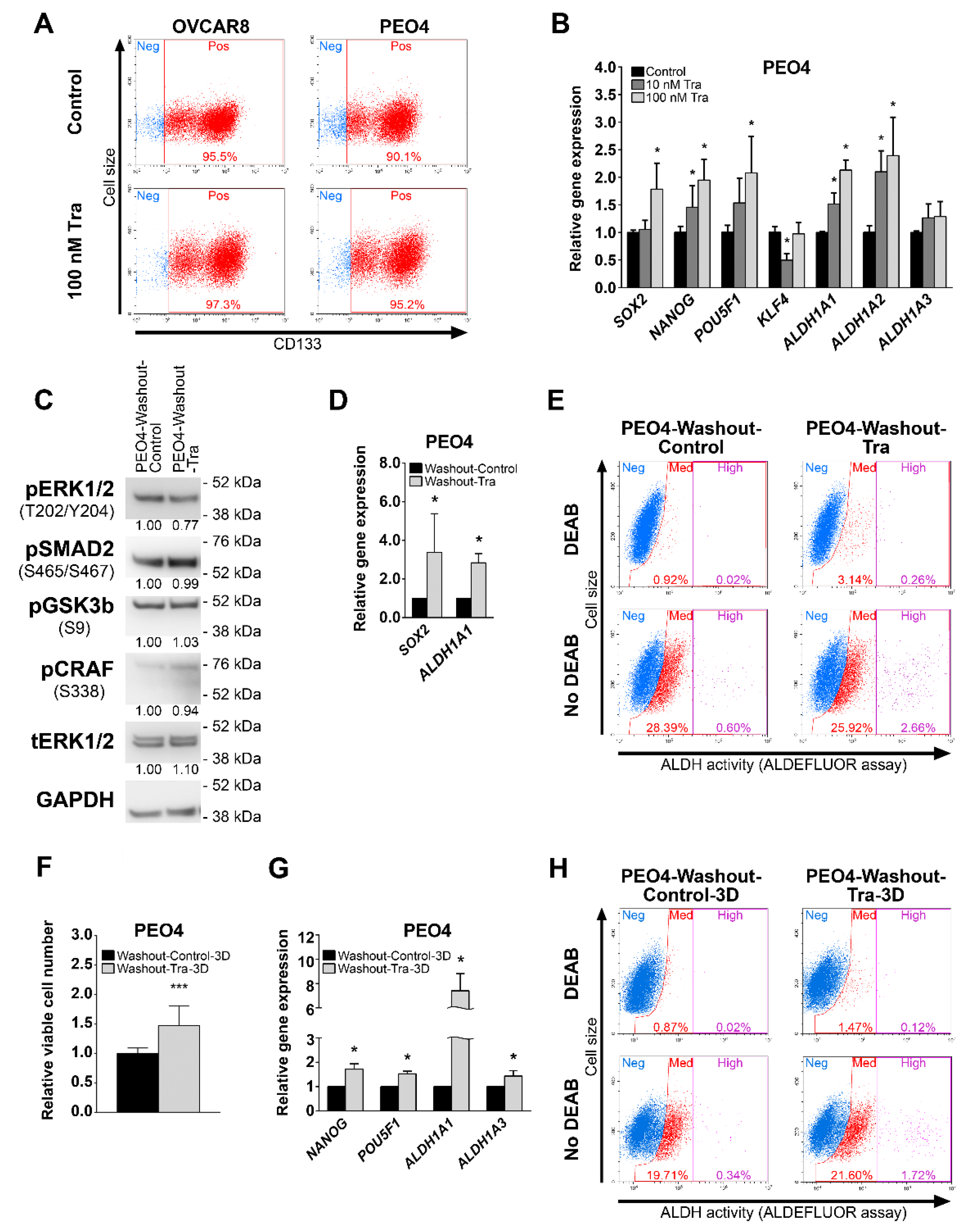Cancers 13 01369 g005 Cancers 13 01369 g005