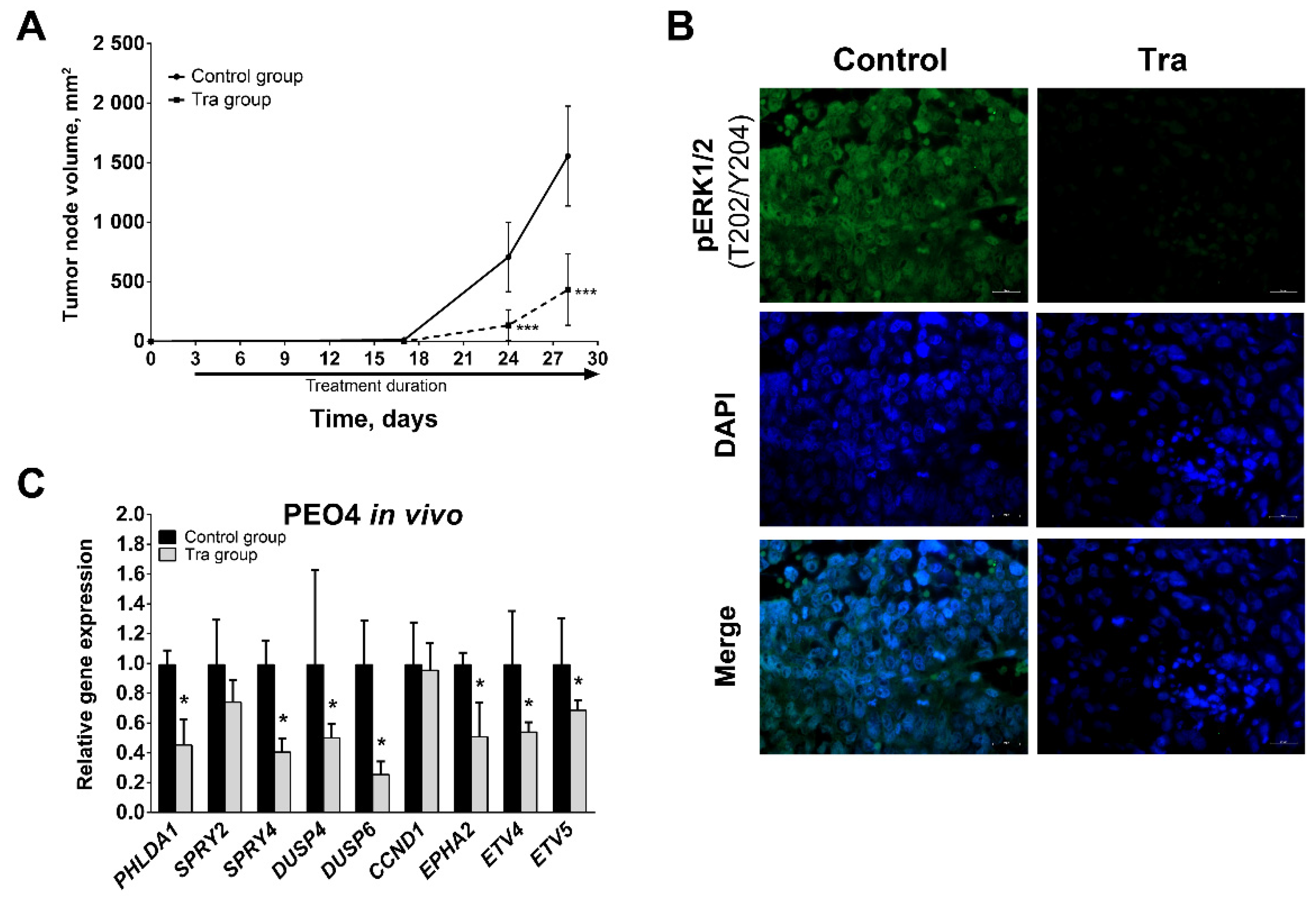 Cancers 13 01369 g006 Cancers 13 01369 g006