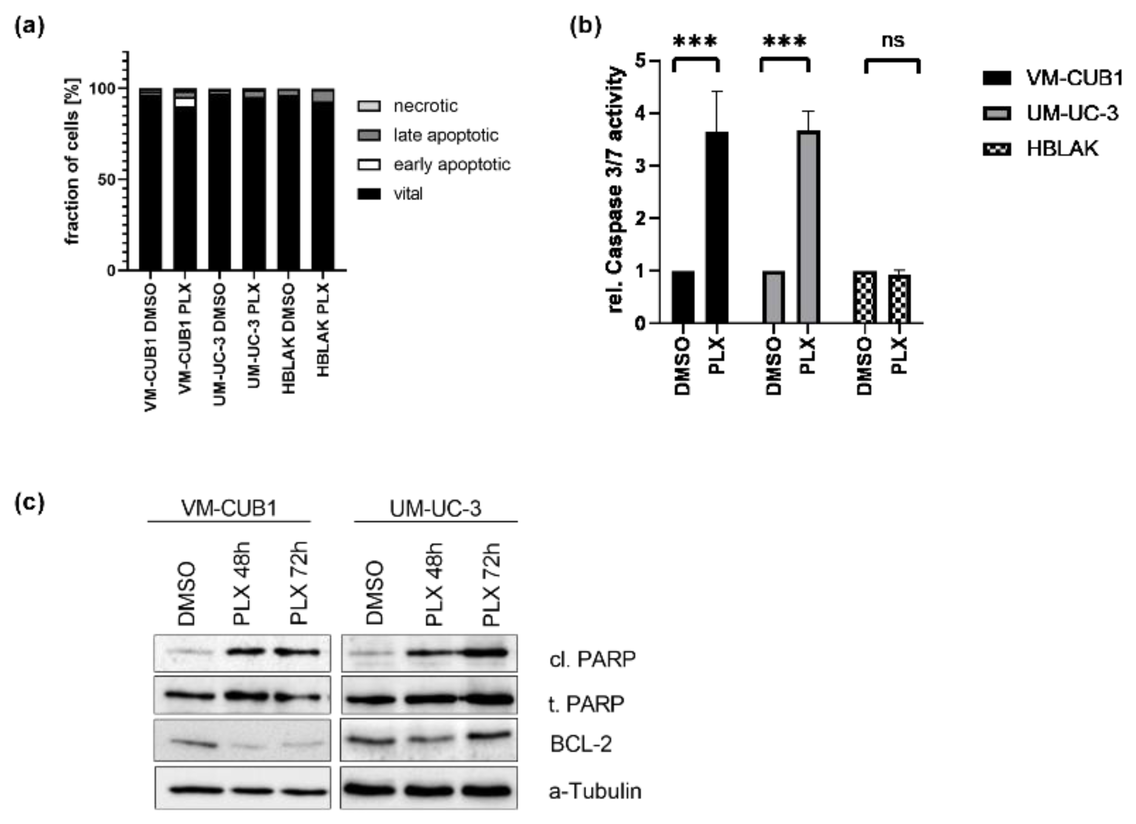 Cancers 13 01376 g002