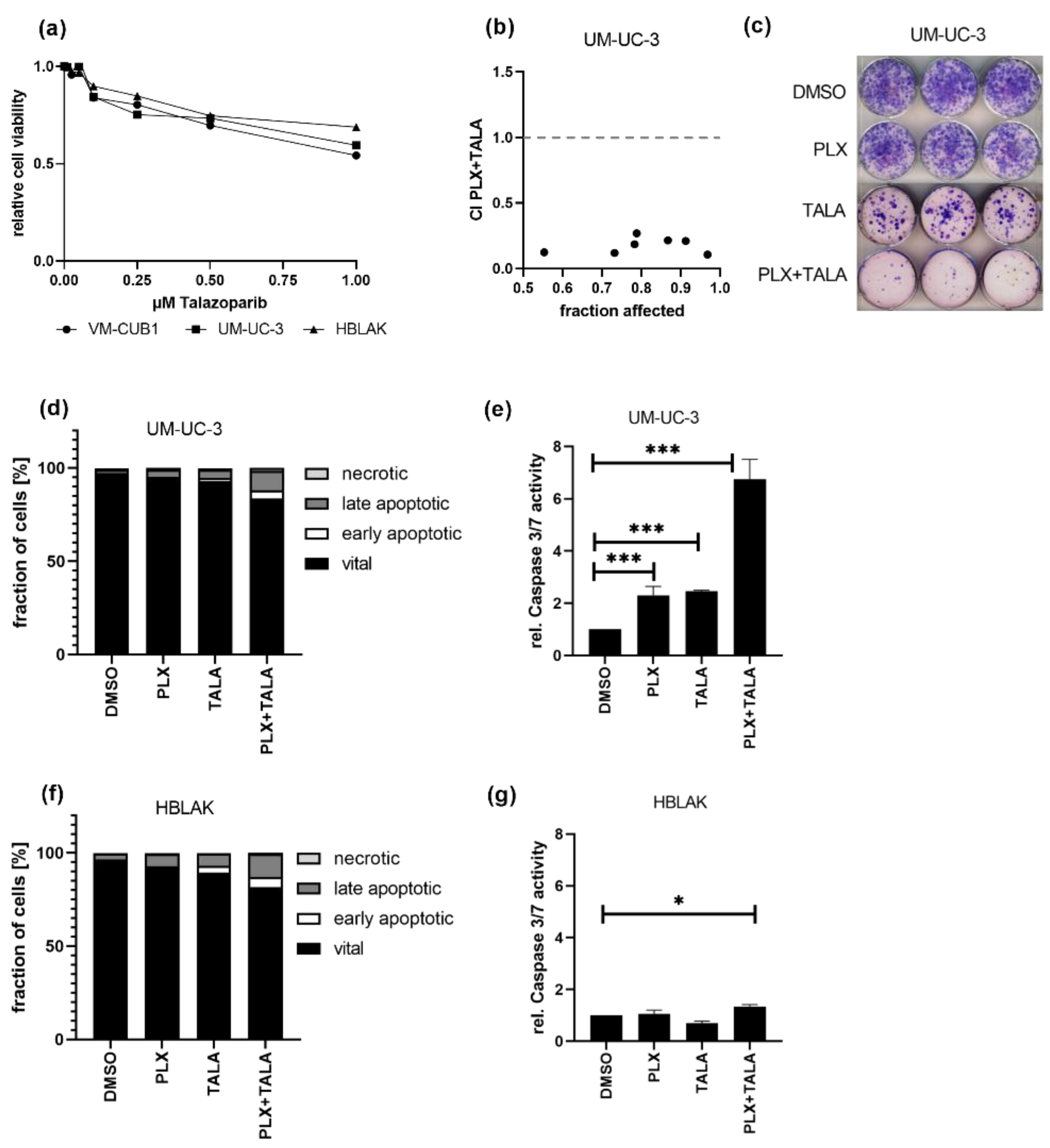 Cancers 13 01376 g007