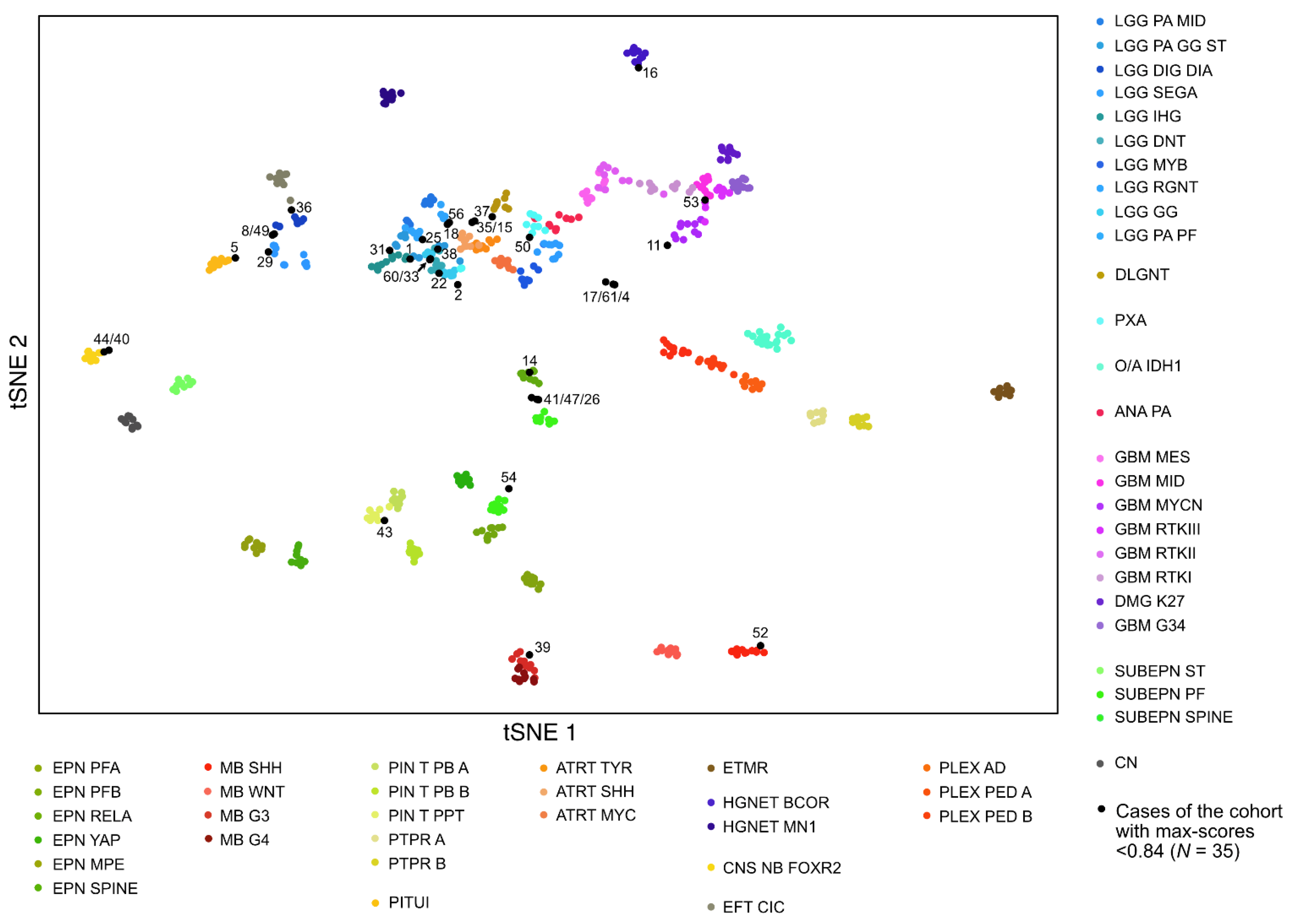 Cancers 13 01377 g002 Cancers 13 01377 g002