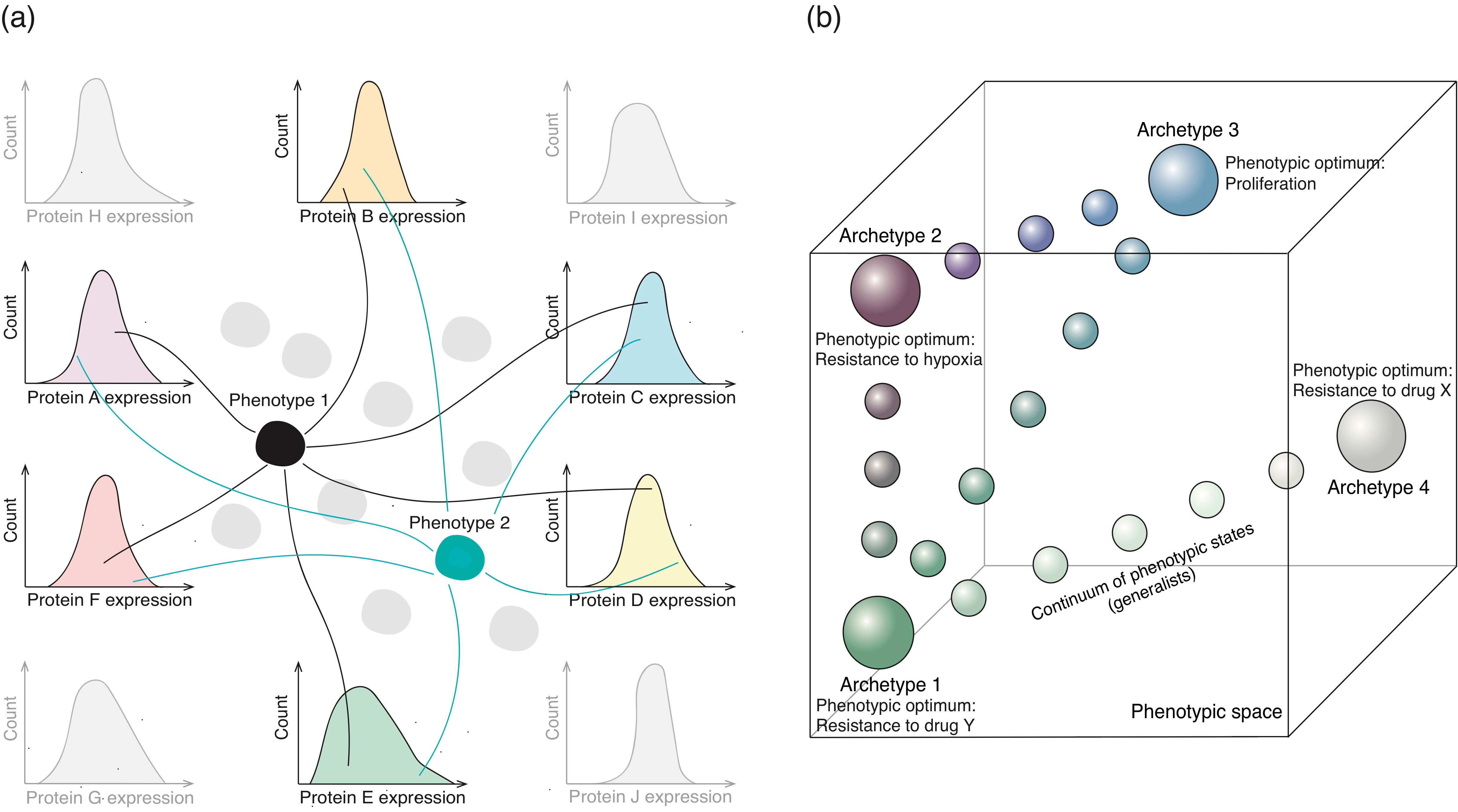 Cancers 13 01380 g002 Cancers 13 01380 g002