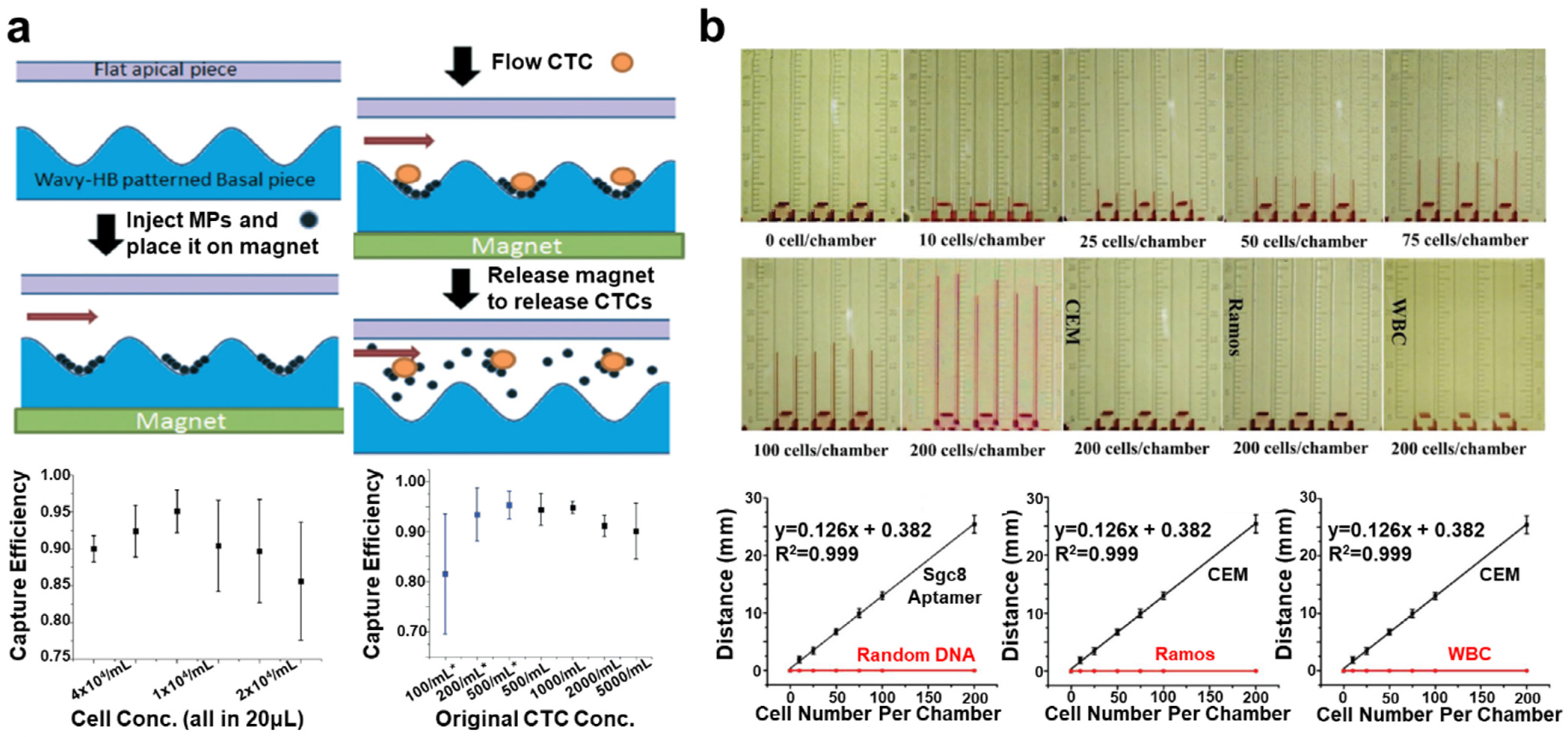 Cancers 13 01385 g001
