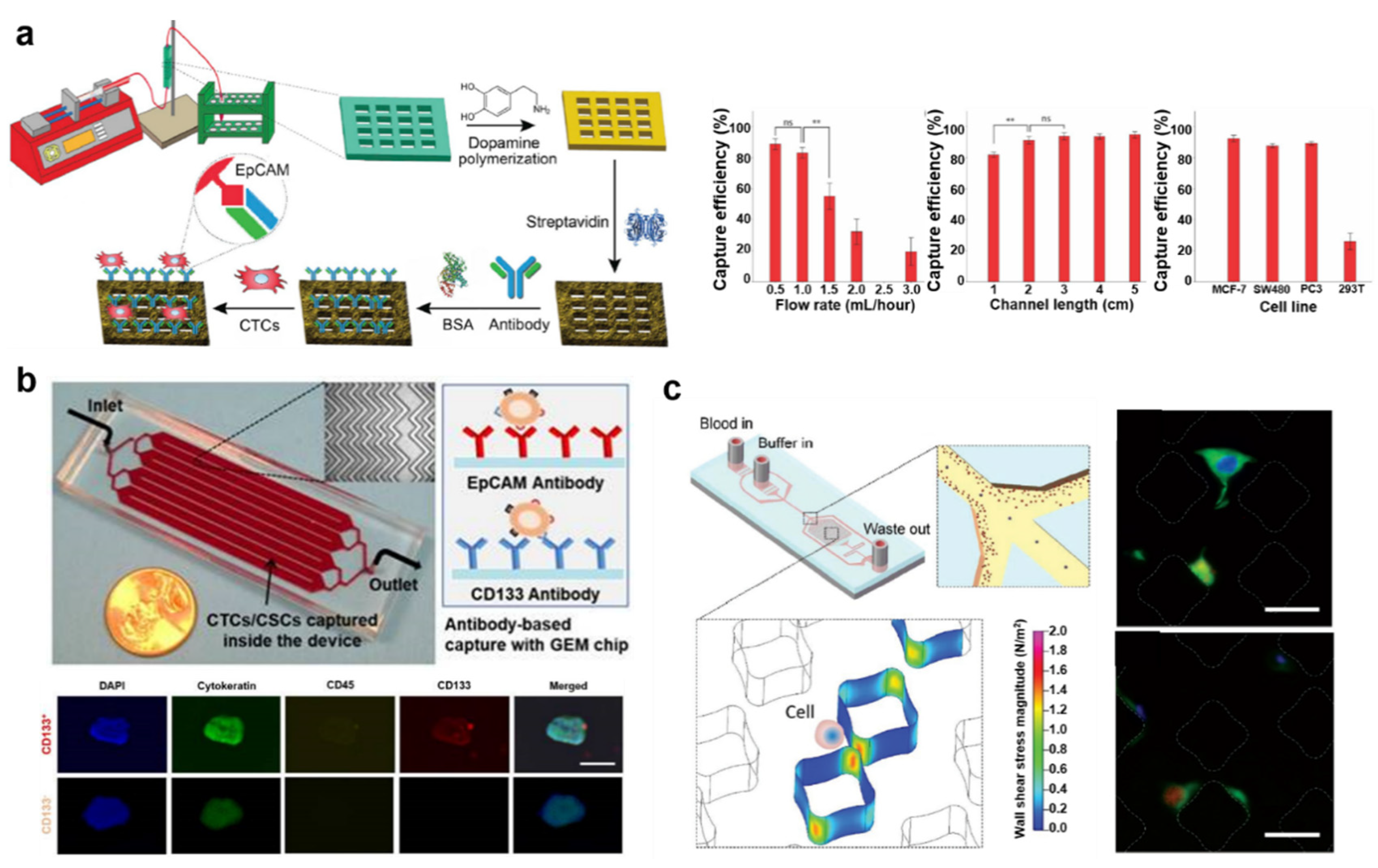 Cancers 13 01385 g002