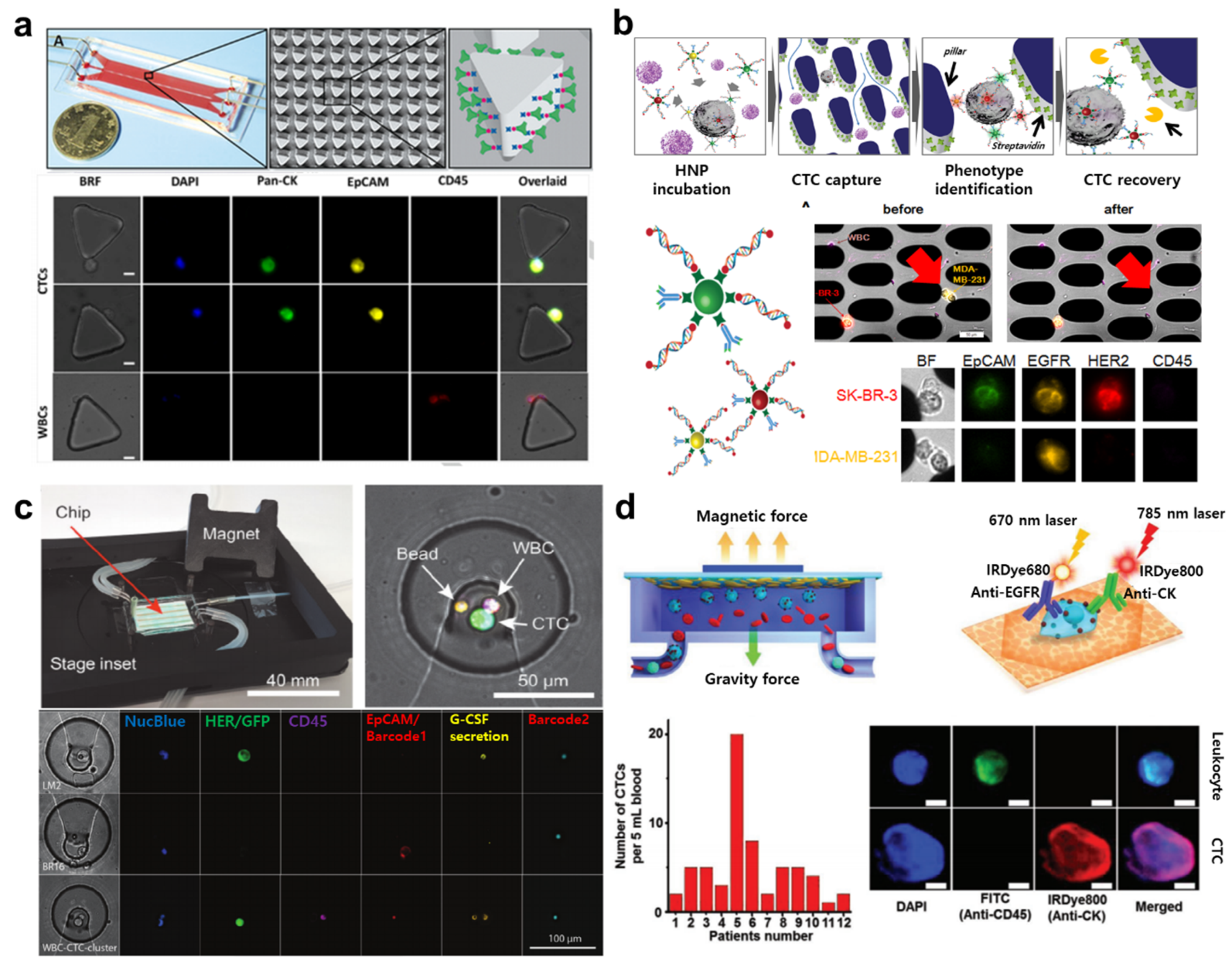 Cancers 13 01385 g003